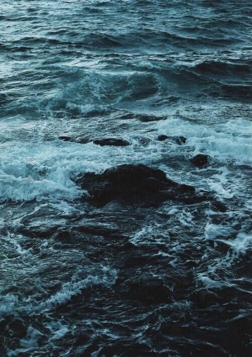 Executive Performance Coaching