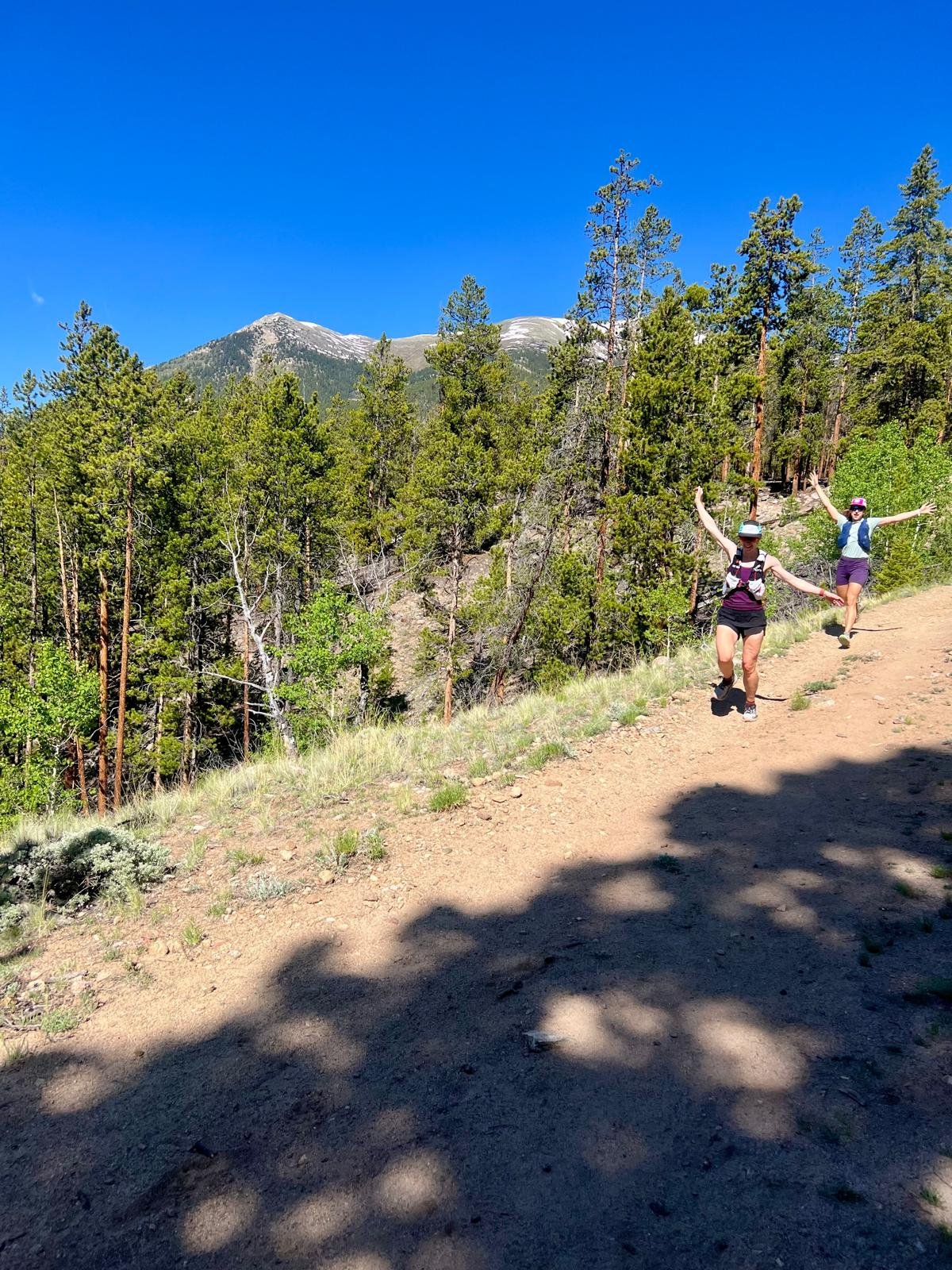 Two women hiking on a dirt trail along a forested mountain trail on a sunny day, with clear blue skies and distant snow-capped peaks.