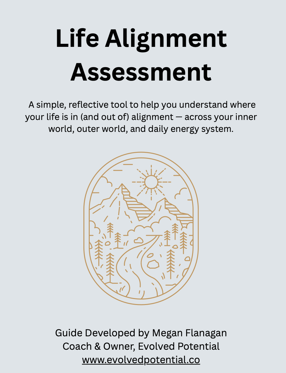 Life Alignment Audit