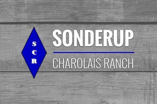 Sonderup Charolais Ranch logo with blue diamond and white text on a wooden background.