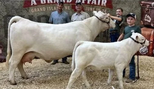 People at a fair posing with two cattle, a large one and a smaller one, in front of a red banner.