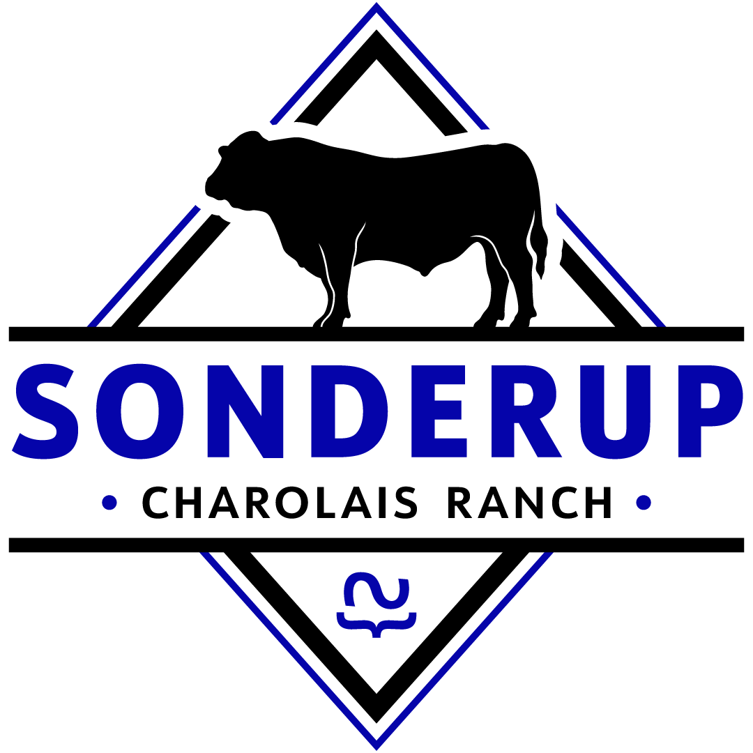 Sonderup Charolais Ranch
