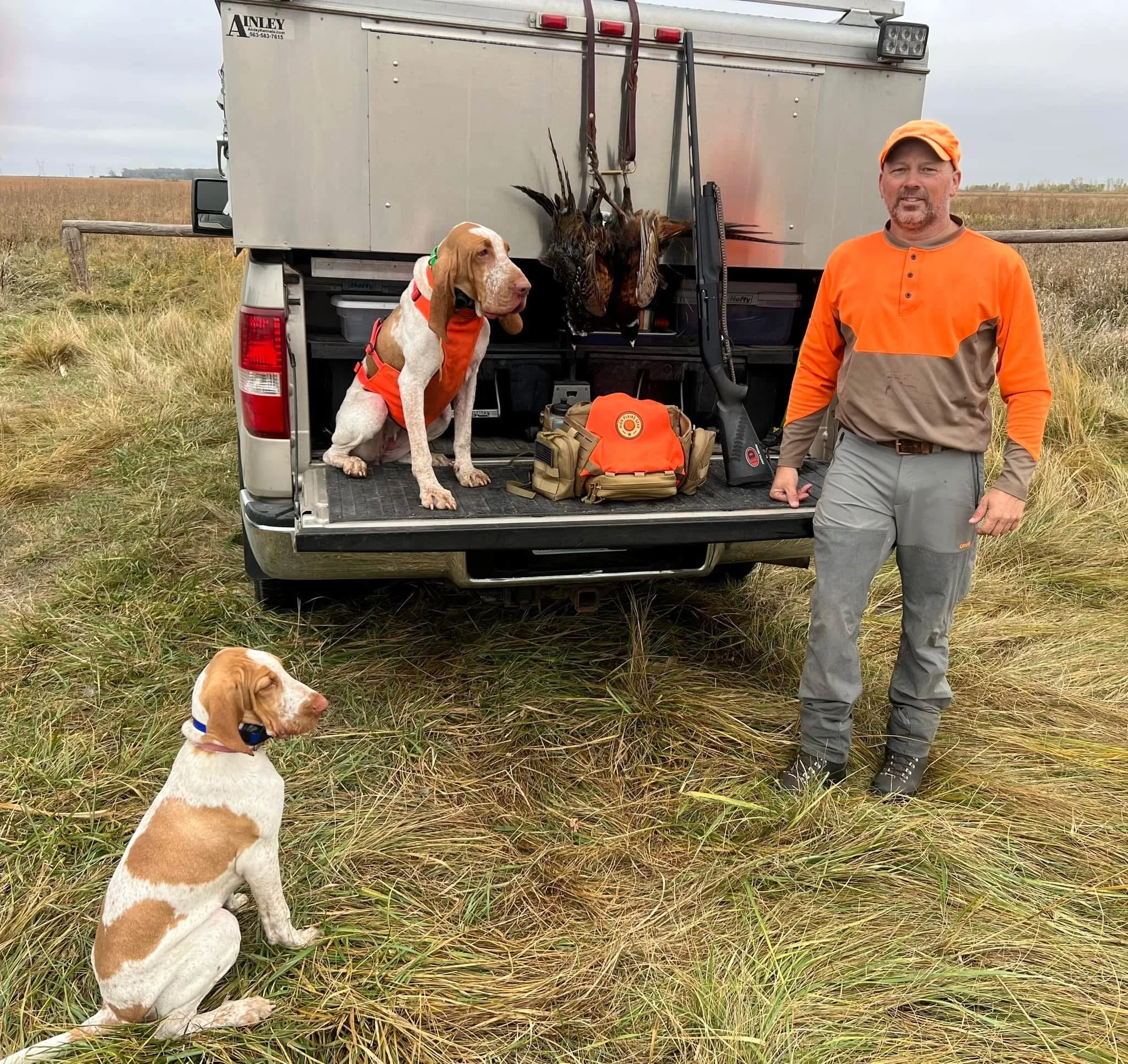 A man in orange and gray outdoor clothing stands in a grassy field next to a pickup truck with two hunting dogs and some game birds hanging from the back. The truck bed contains hunting gear, including a backpack and a shotgun. One dog, sitting on th