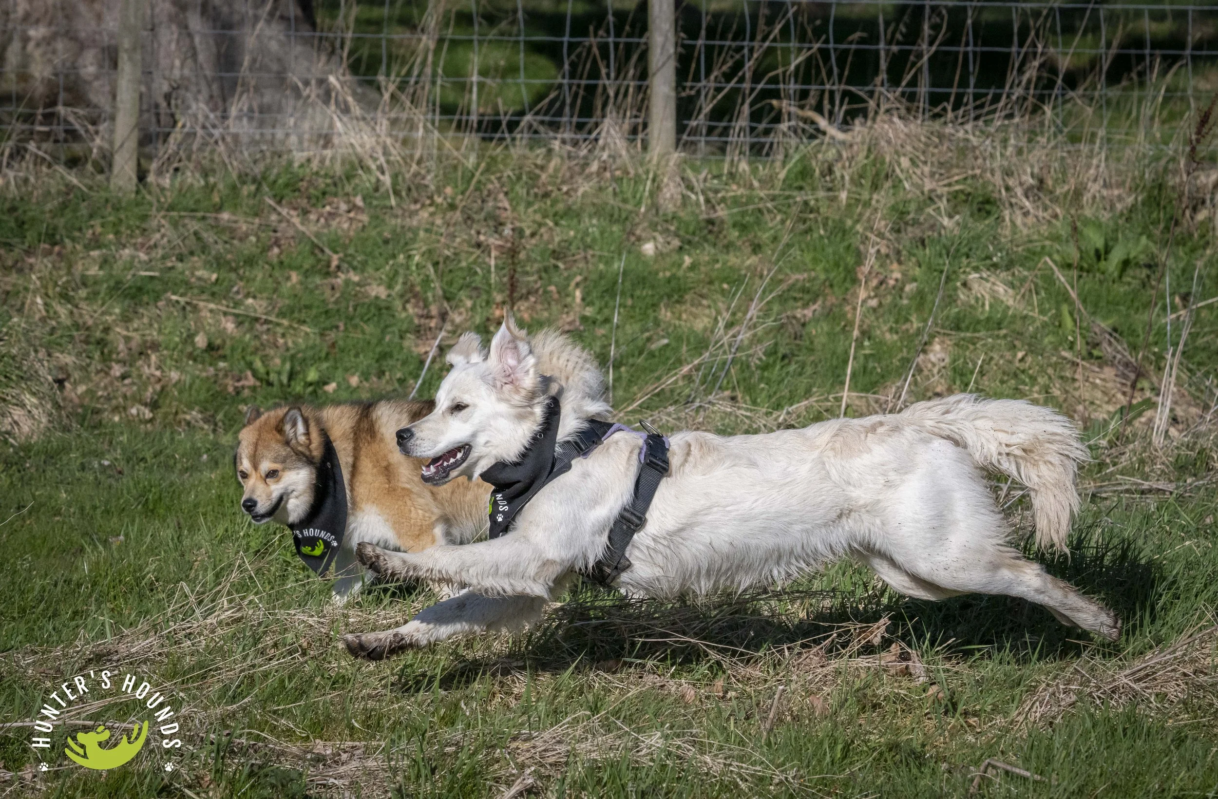 DSC_4195.JPG