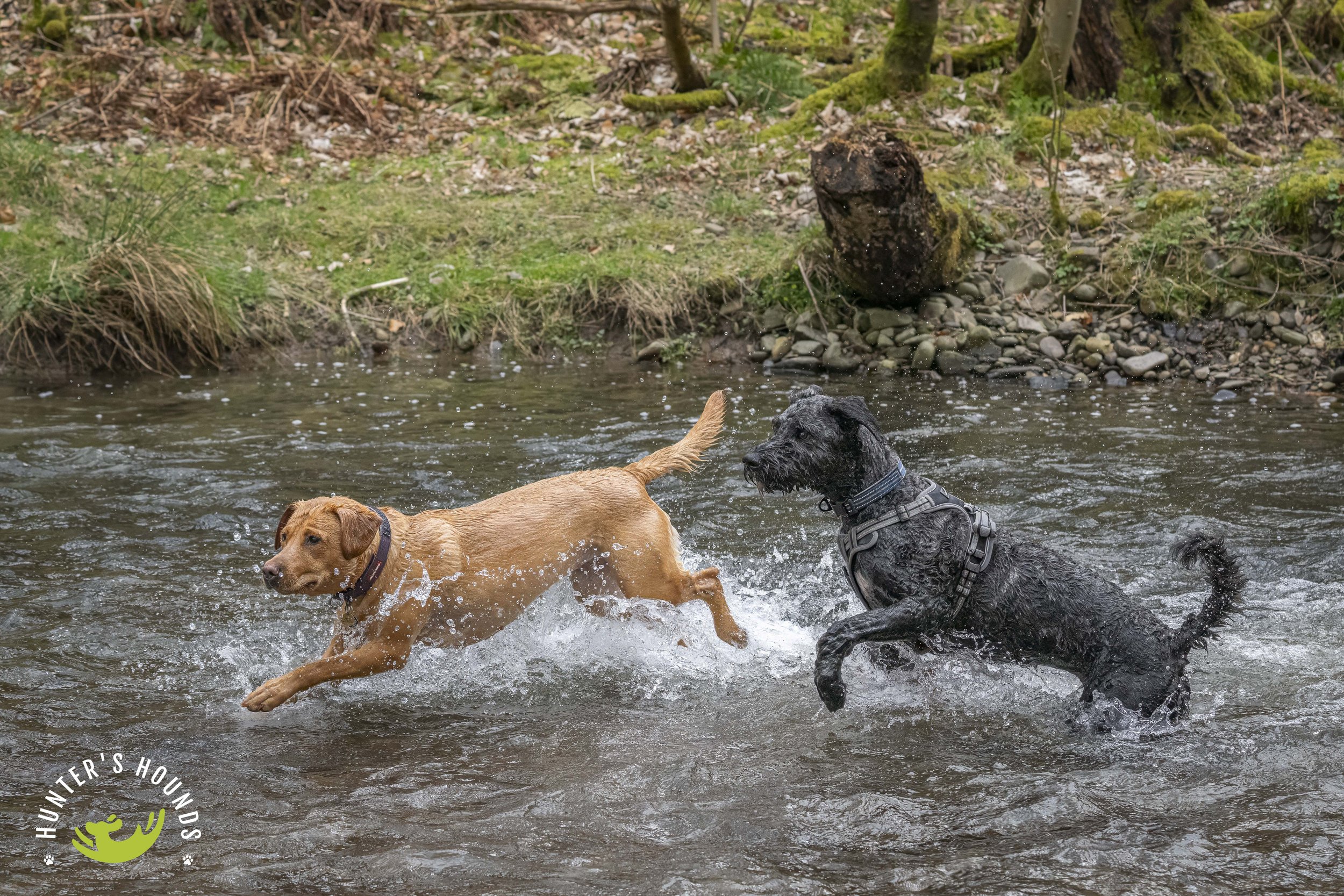 DSC_3801-Edit.JPG