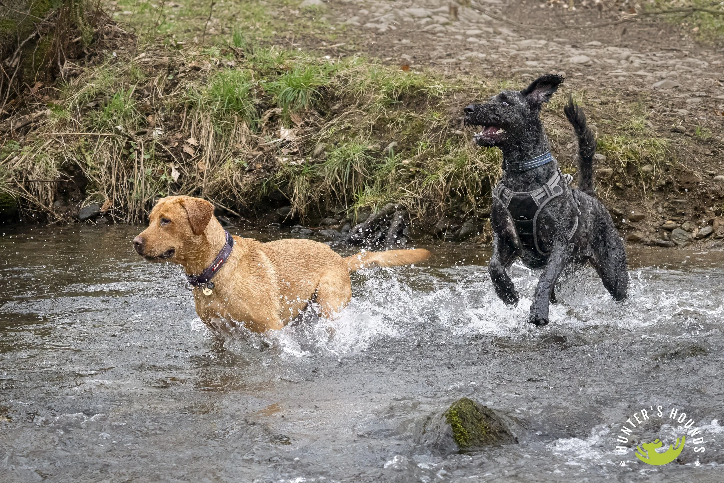 DSC_3755-Edit.JPG