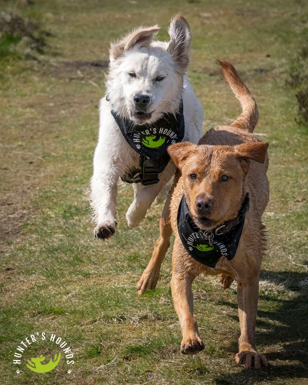 Nala & flo.jpg