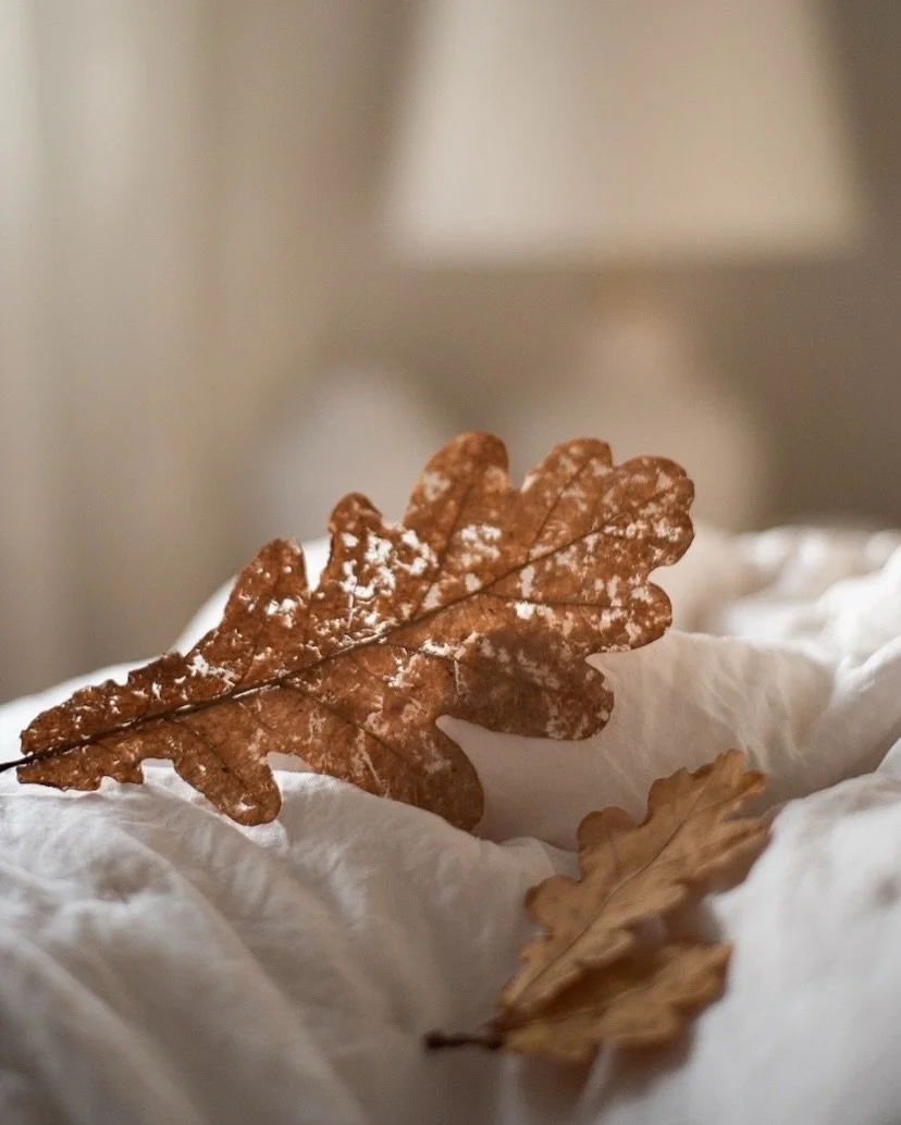 A little casual photo dump with an autumn twist 🍂 I think this might be my favorite season, especially the start of it! 

The air turns just crisp enough for sweaters, the colors go rich and earthy, the mosquitoes are gone (!!), and my hand can&rsqu