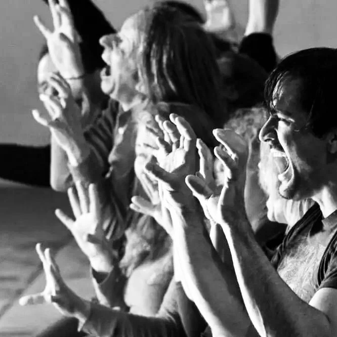 Luis Bellon, Arno Peck and other participants in a voice workshop in Malérargues during Teachers Week in 2017