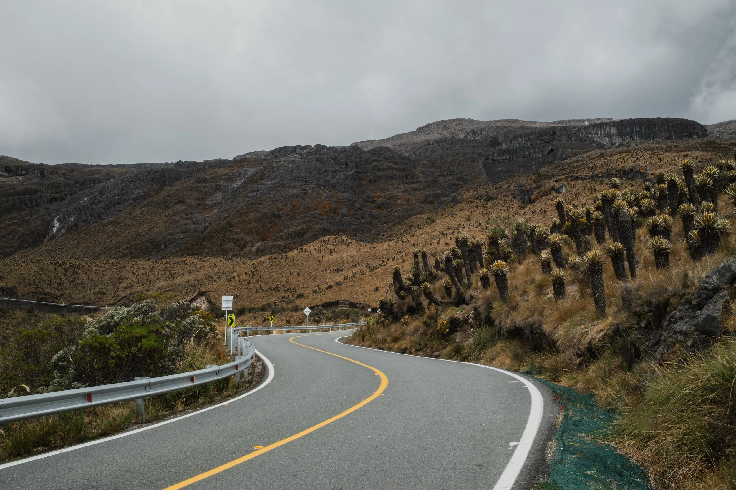 DSCF5176-2.jpg