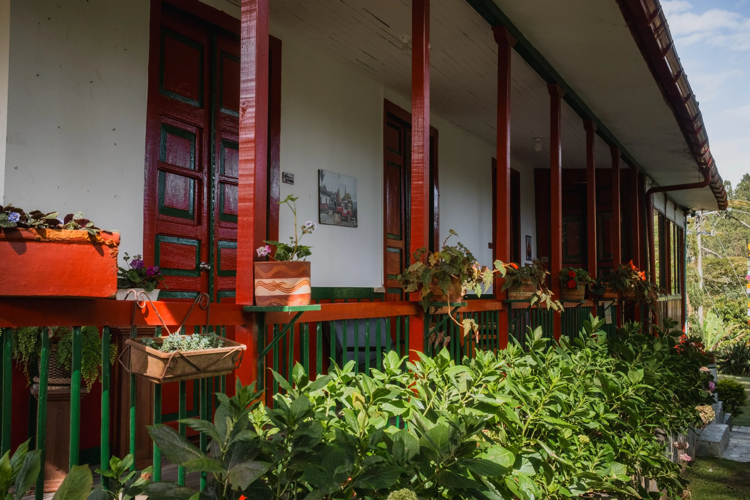 DSCF6435-2.jpg