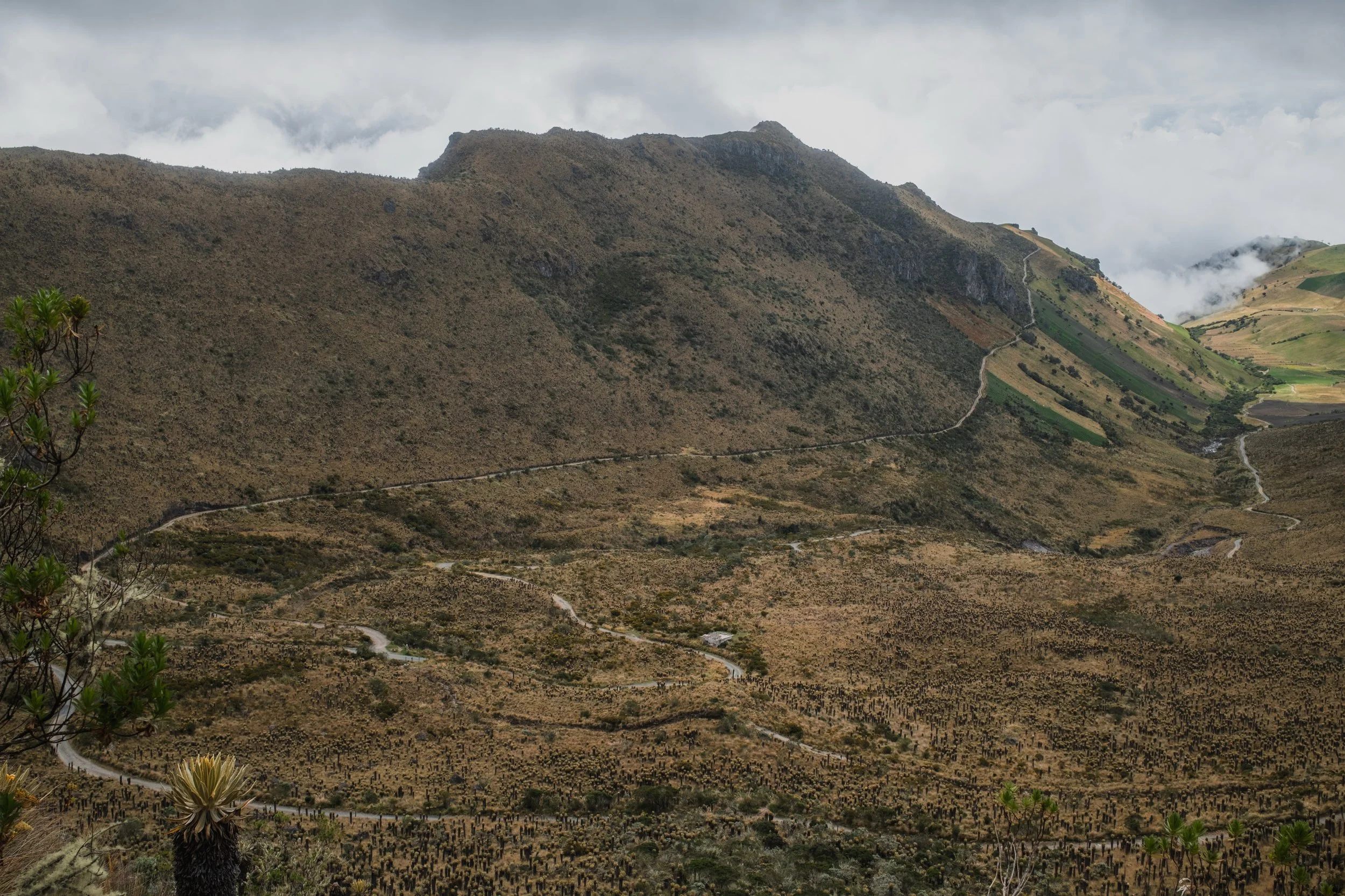 DSCF5192-2.jpg