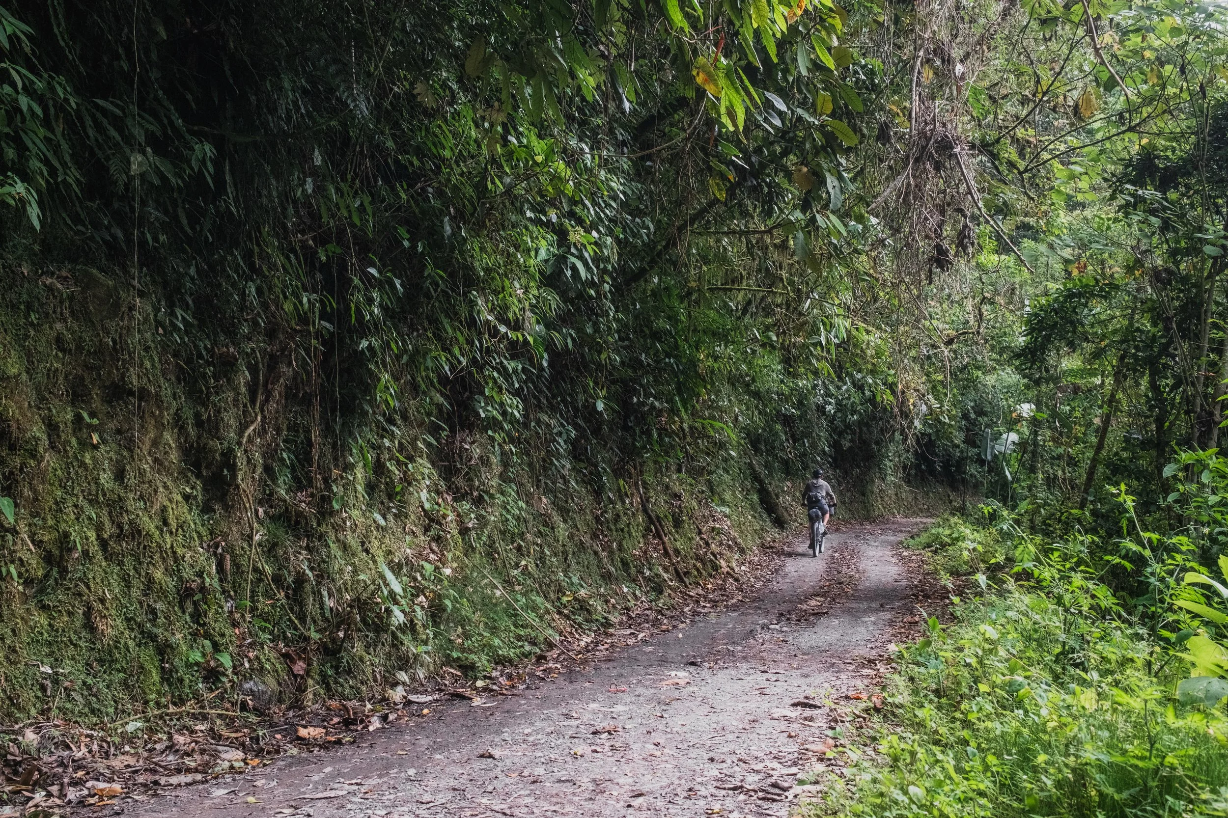 DSCF5042-2.jpg