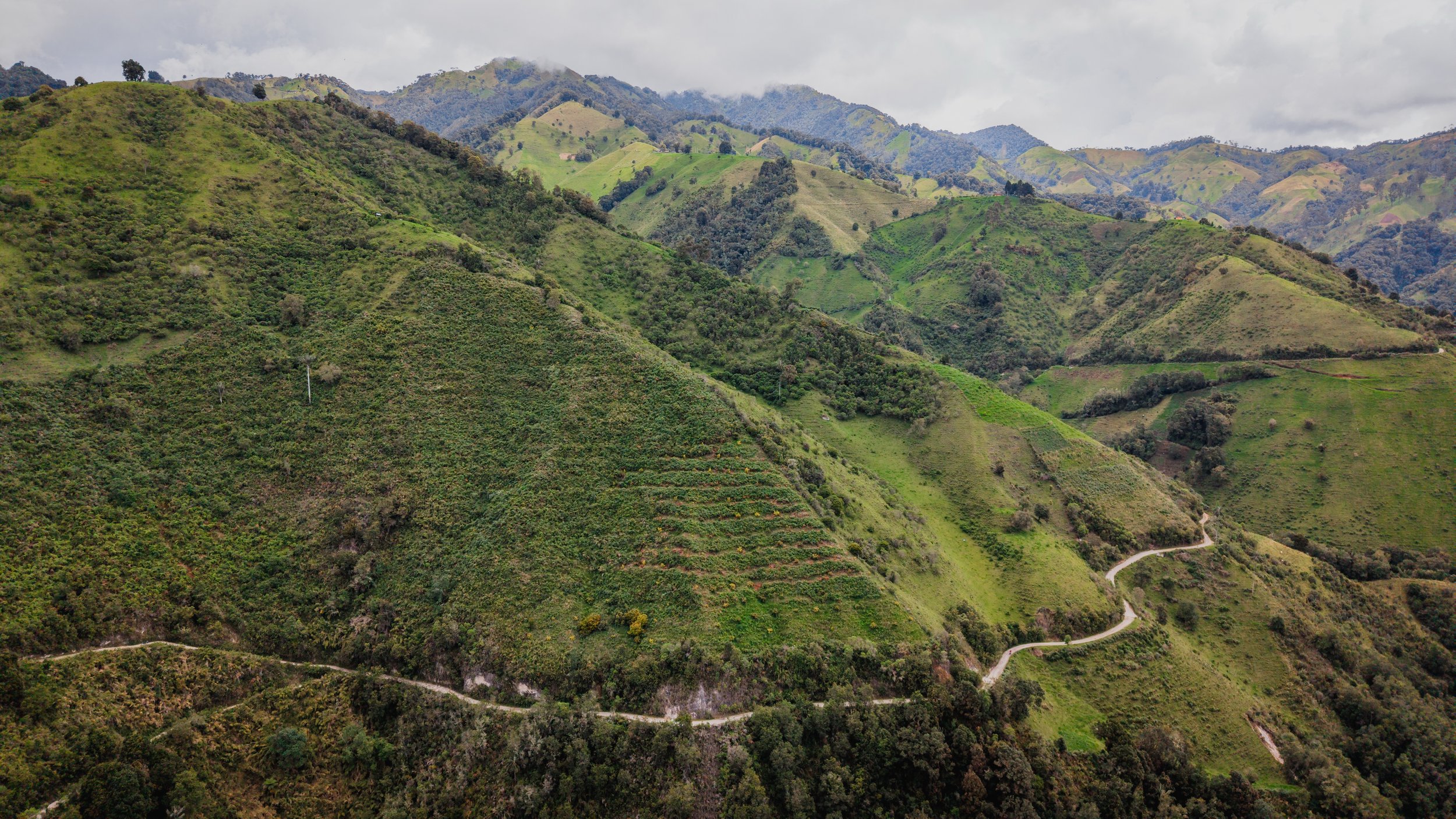 DJI_20260519171602_0006_D-2.jpg
