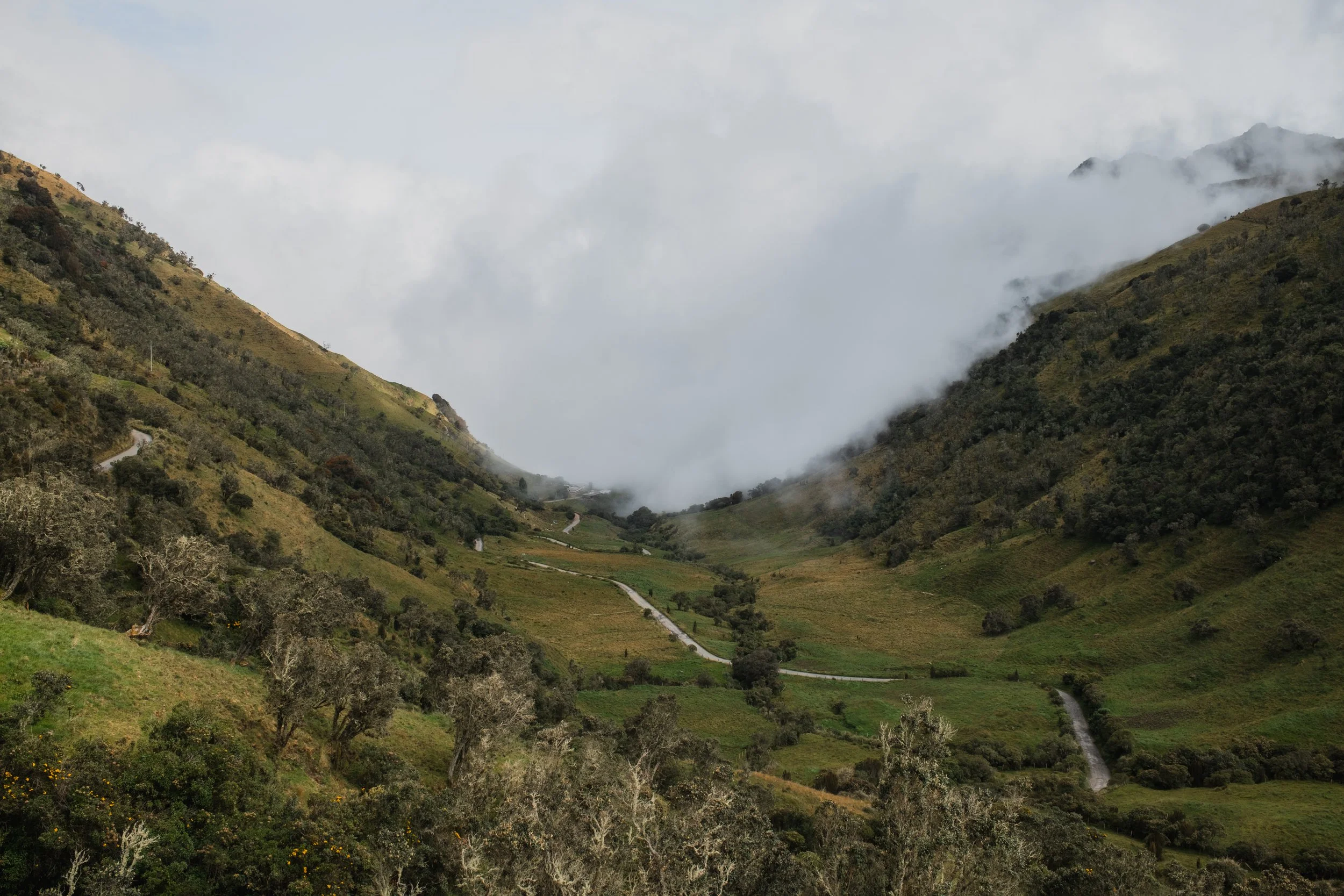 DSCF5121.jpg