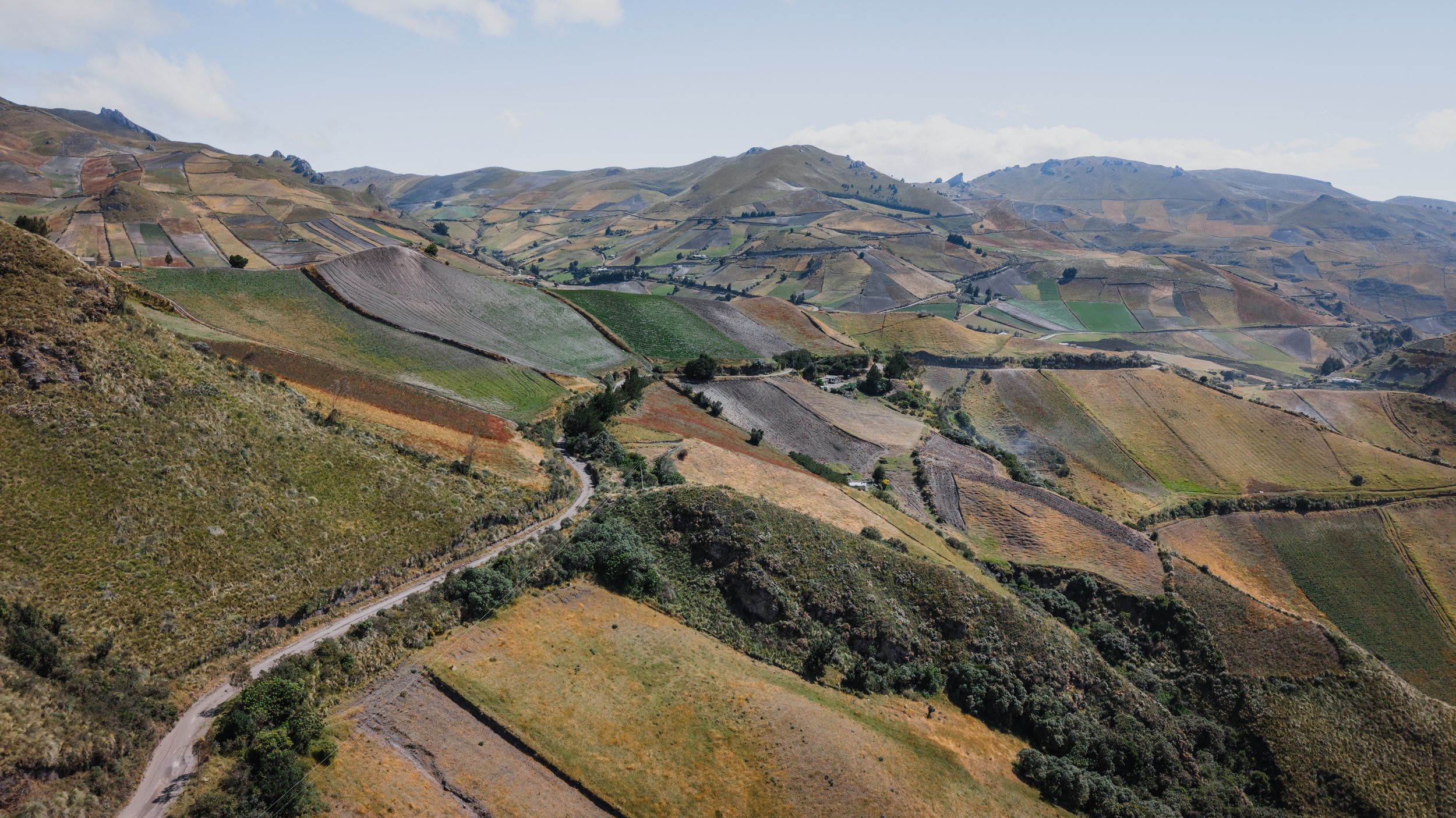 DJI_20260624202540_0009_D.jpg