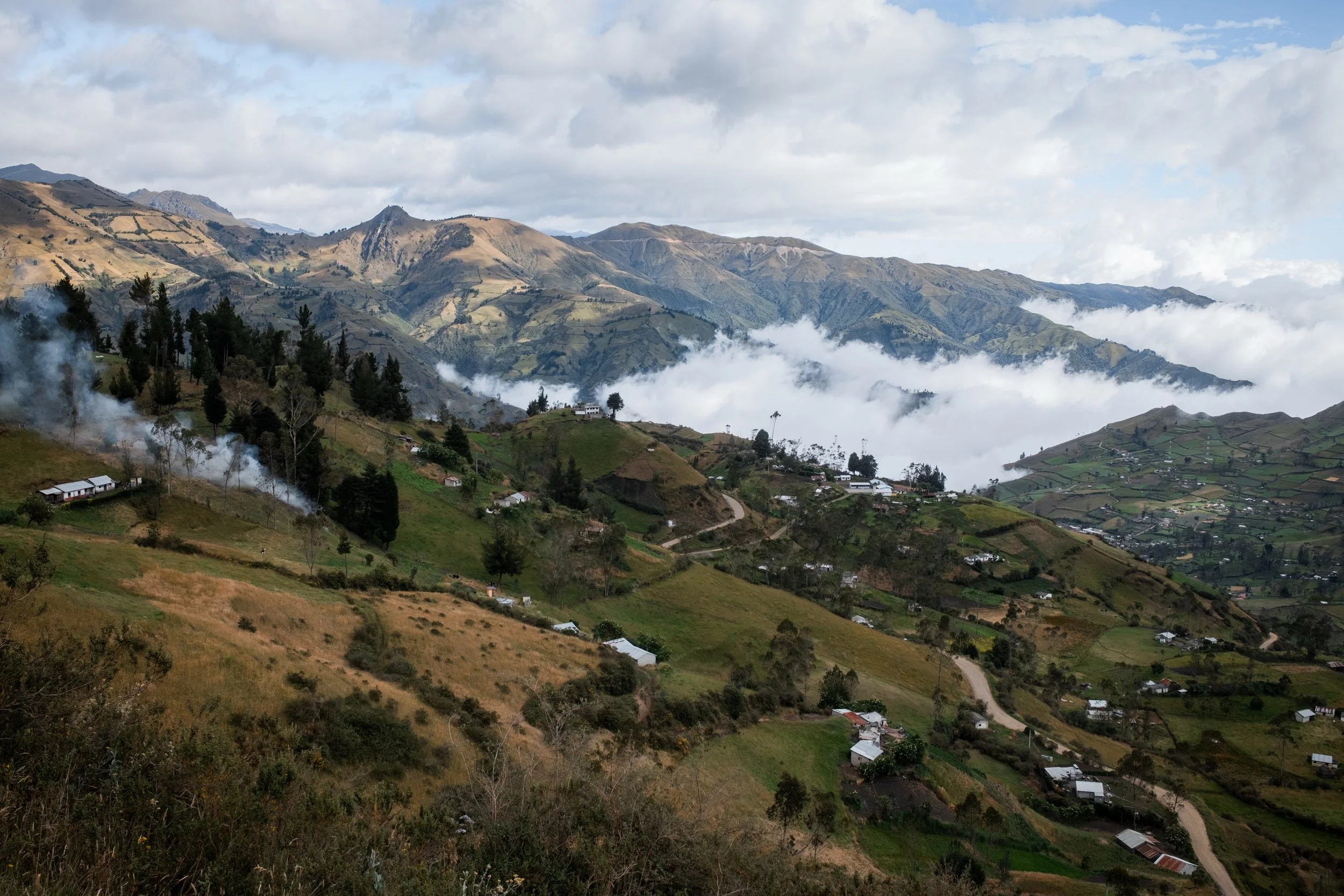DSCF7170.jpg