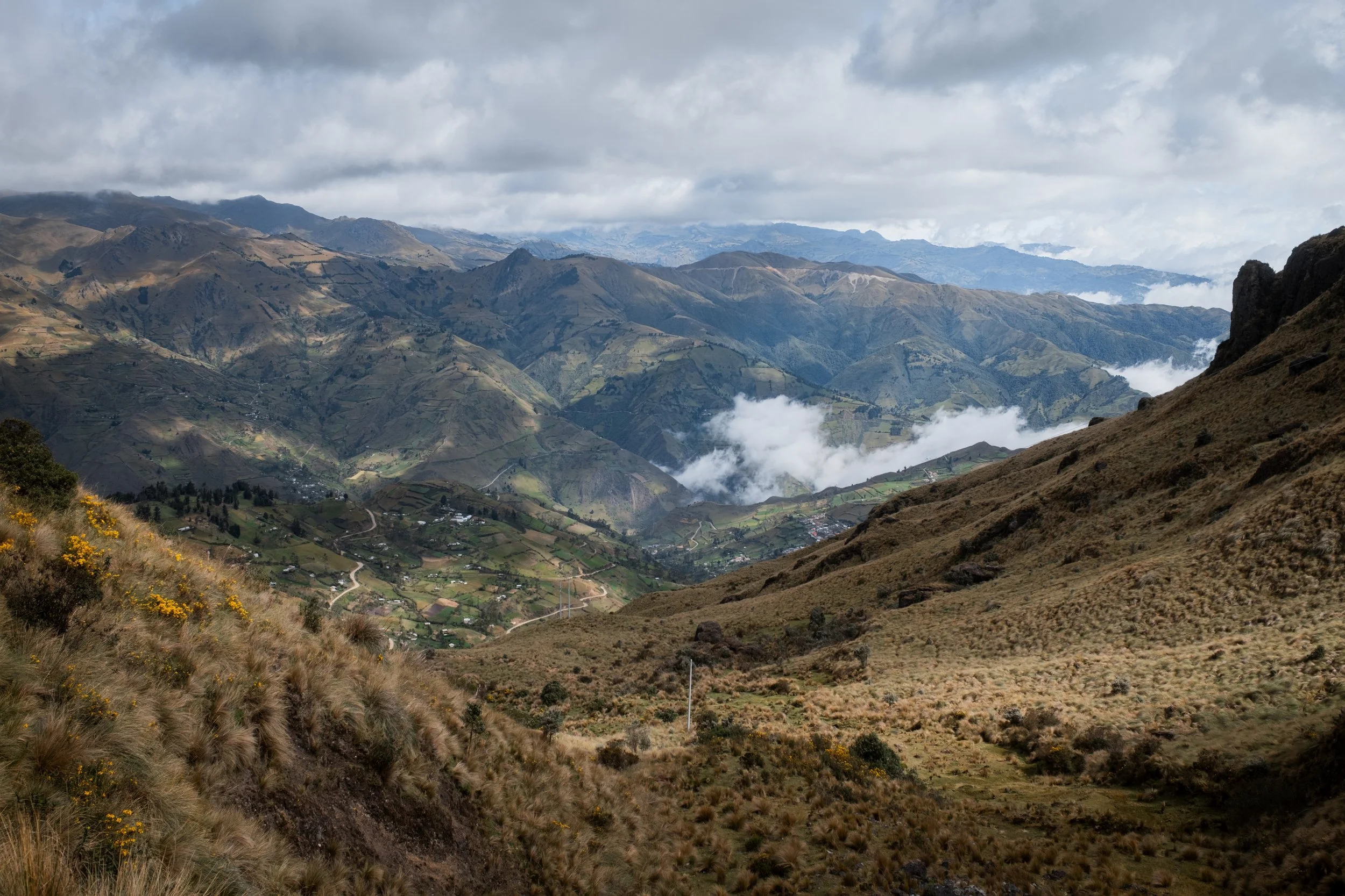 DSCF7163.jpg