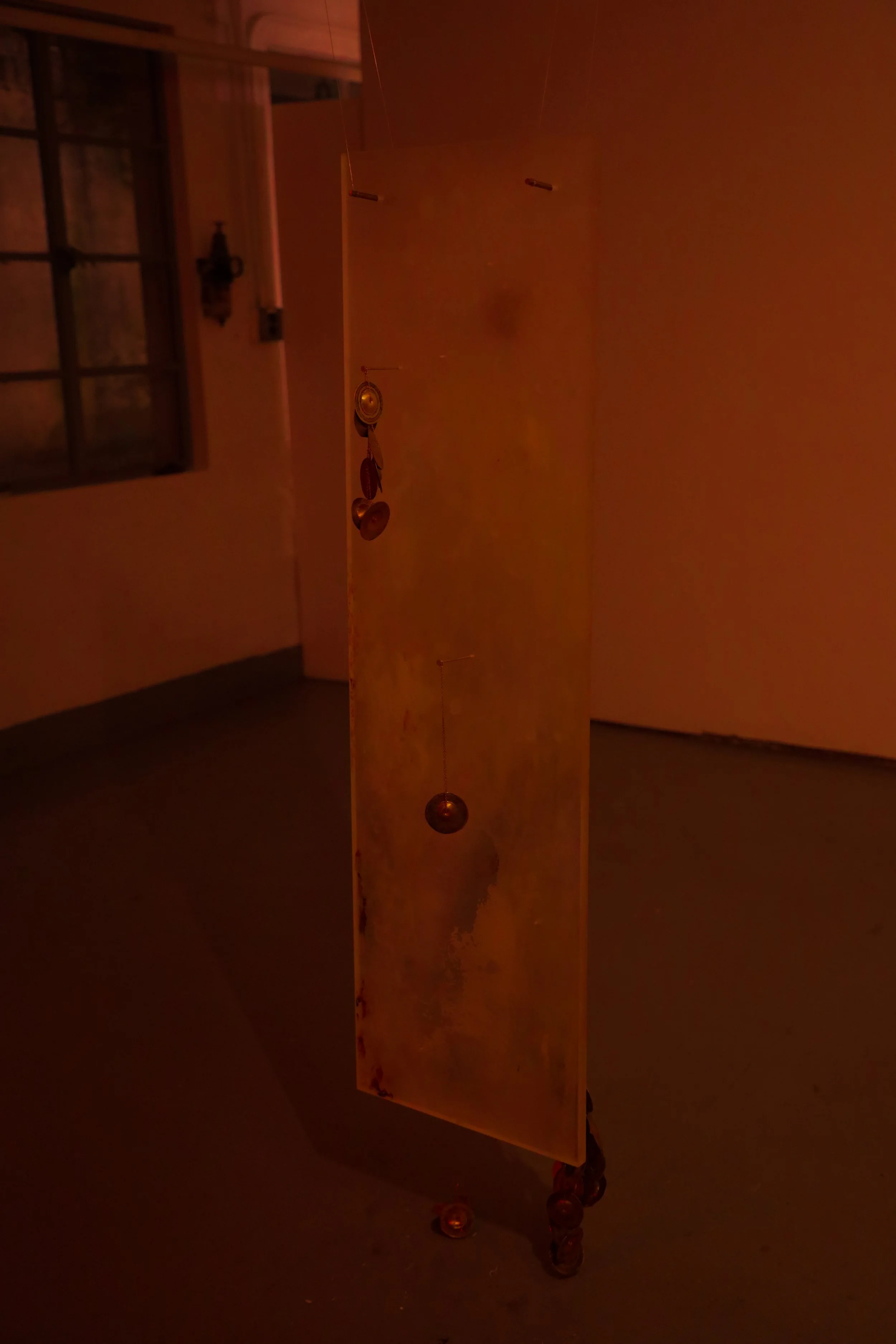0B1A1103.jpg