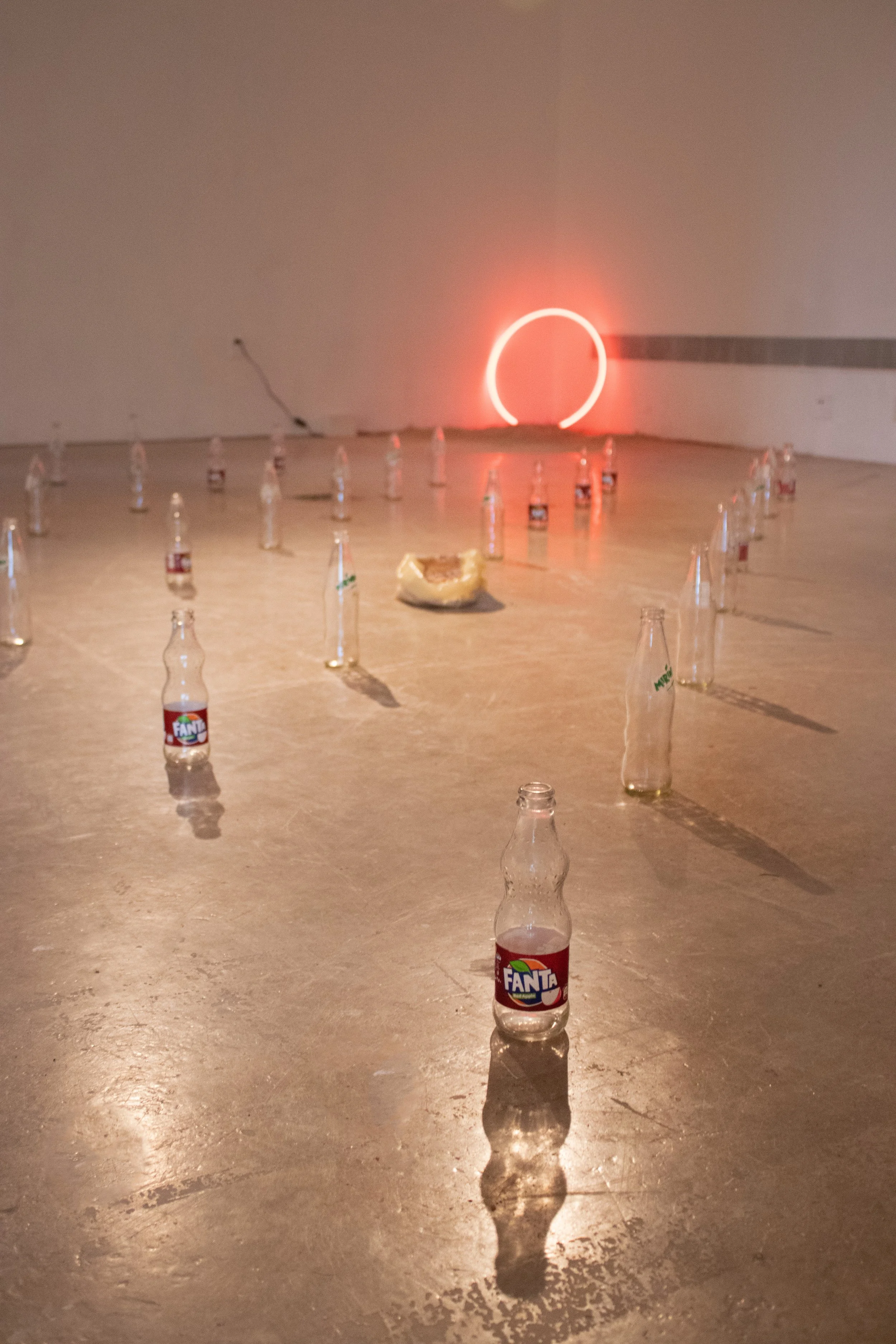 Sun_Bottles_Moody.jpg