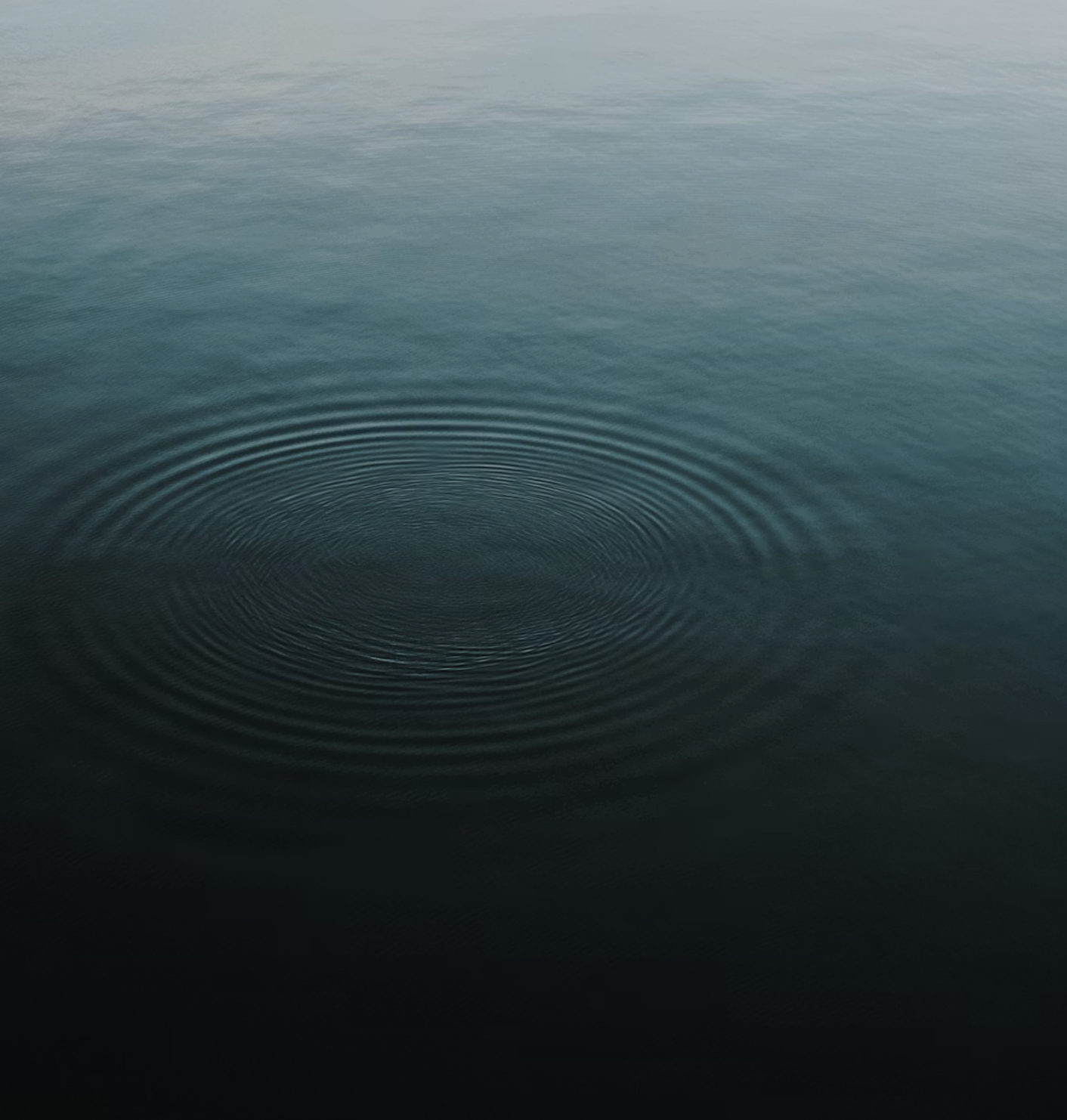 The ecology of grief
