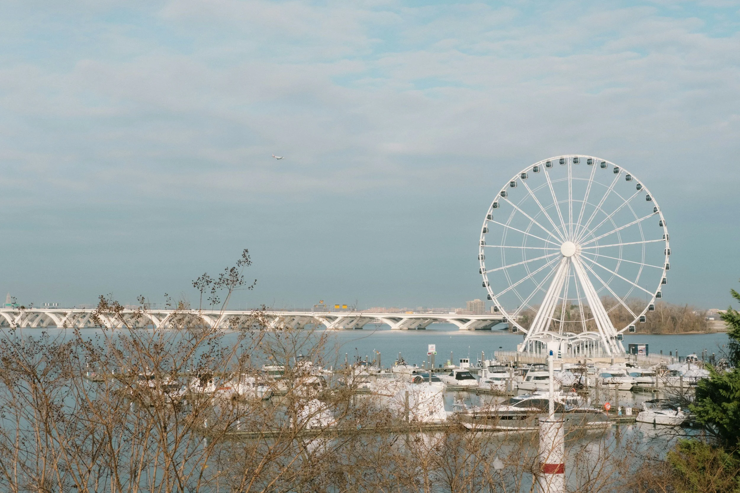 A large white Ferris wheel near a body of water, with a bridge and an airplane in the sky, and some trees and vehicles in the foreground.