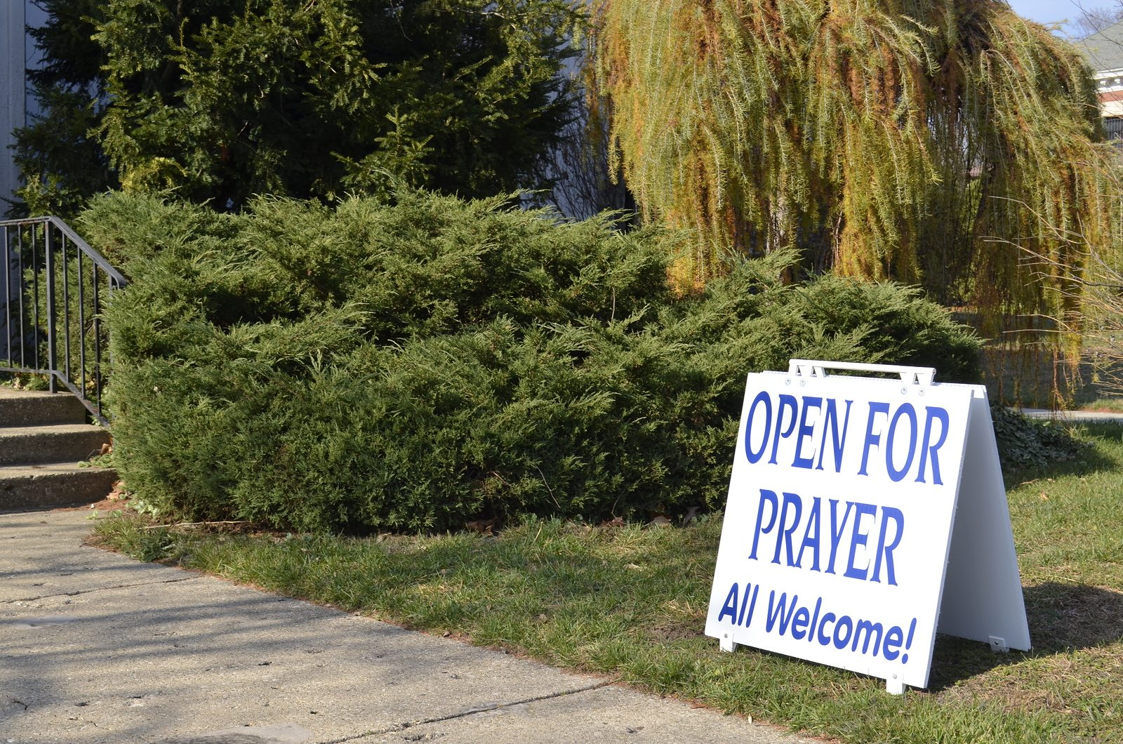 image_2_bdbd8a9c-2560-406f-b6bc-ff3d69e54d33.png (Copy) (Copy) (Copy) (Copy) (Copy)