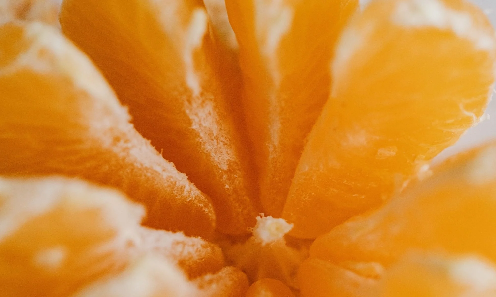 How to Segment Your Email List for Higher Engagement