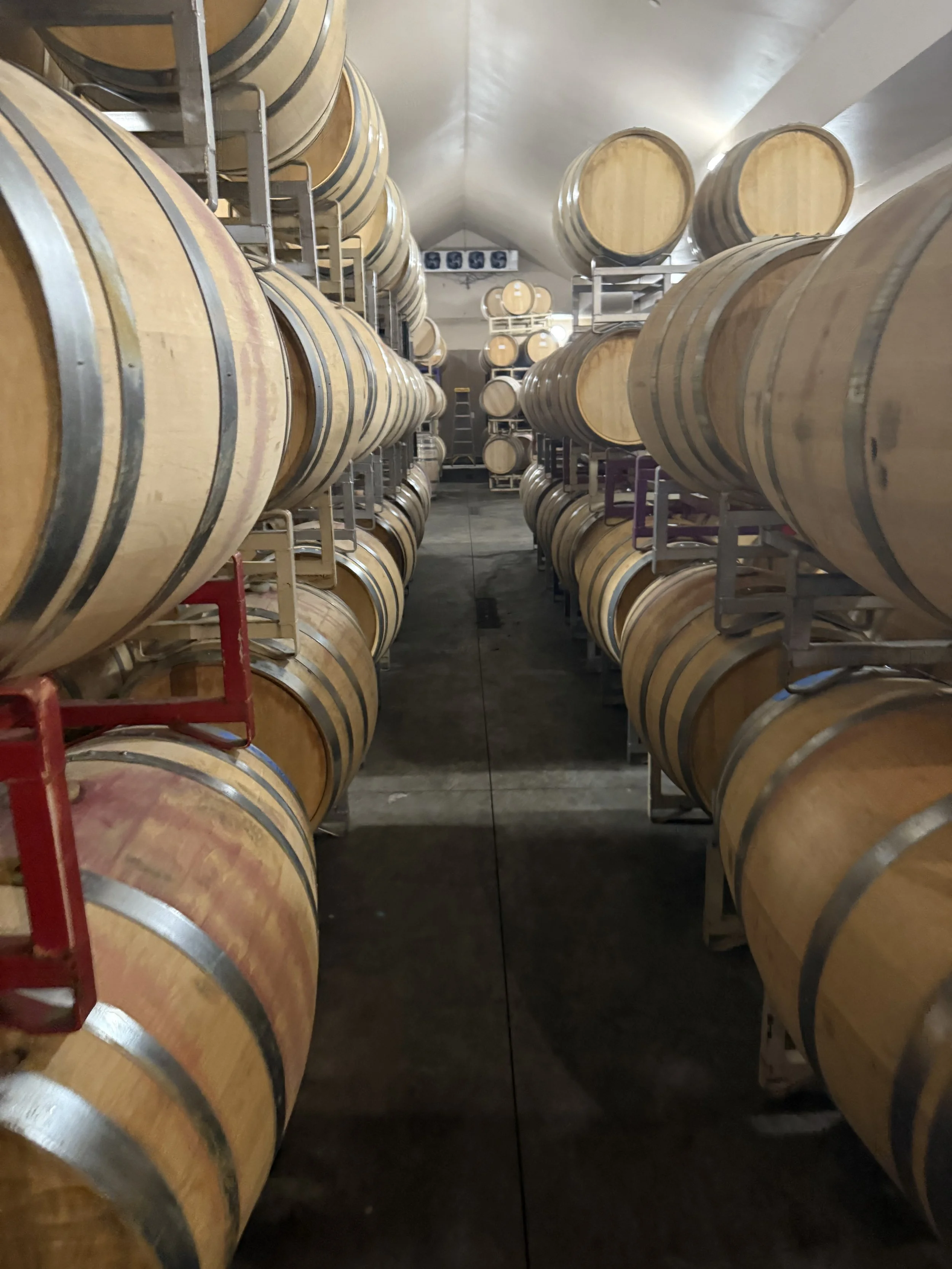 Rows of wooden barrels stored on metal racks in a wine cellar or brewery.