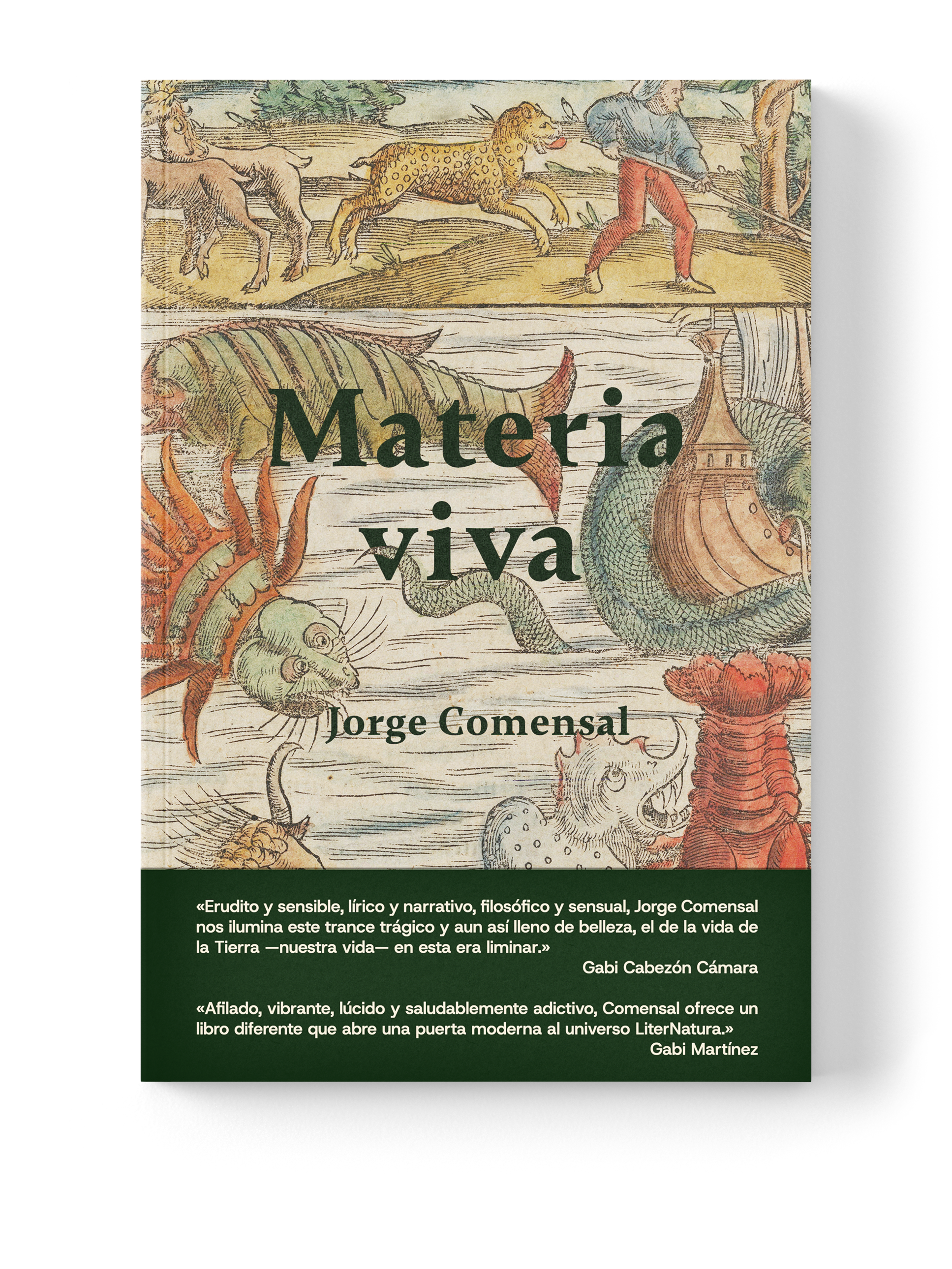 Mockup_Catálogo_MateriaViva_faja.png