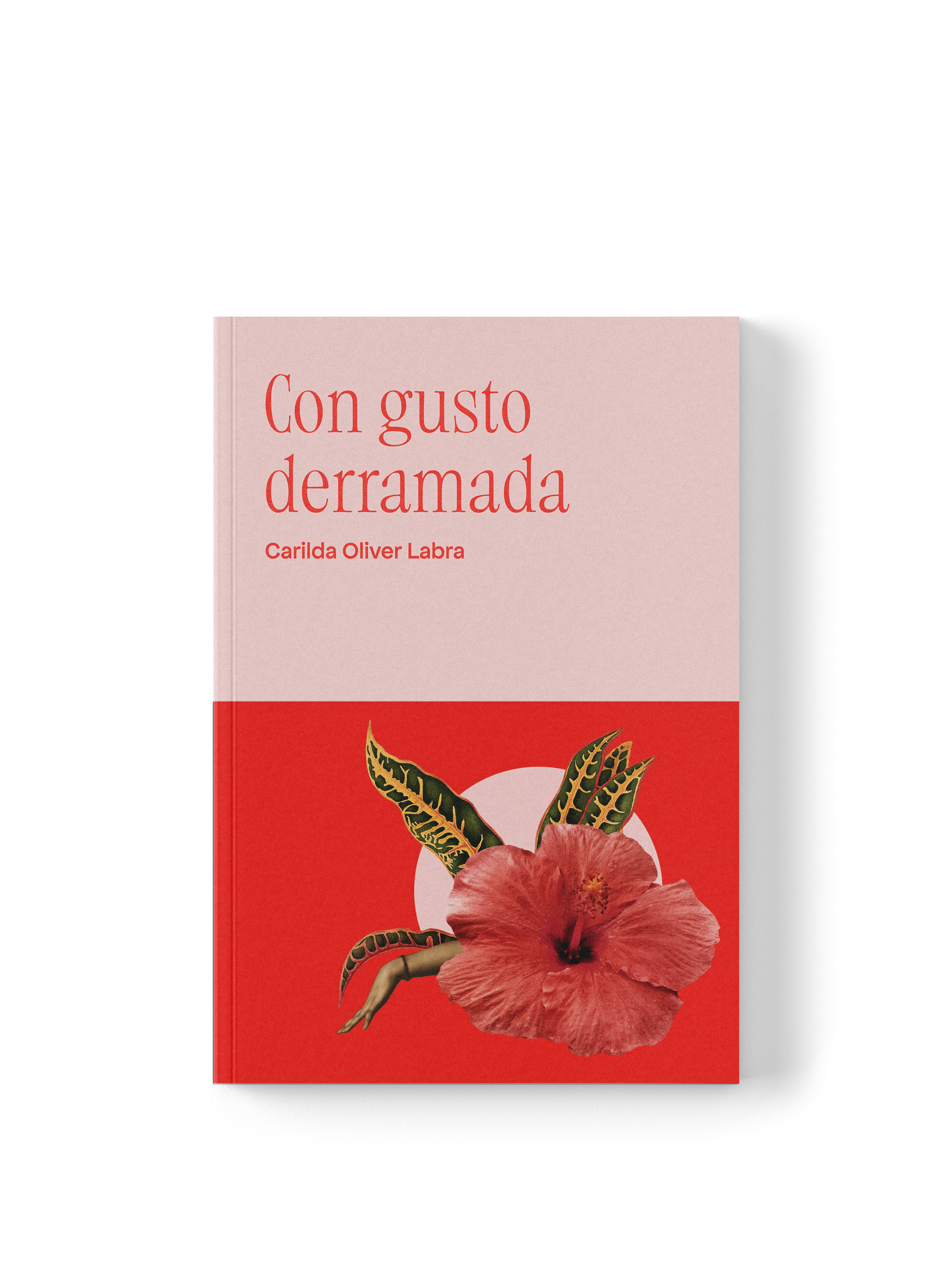 Mockup_Catálogo_CGD_faja.png