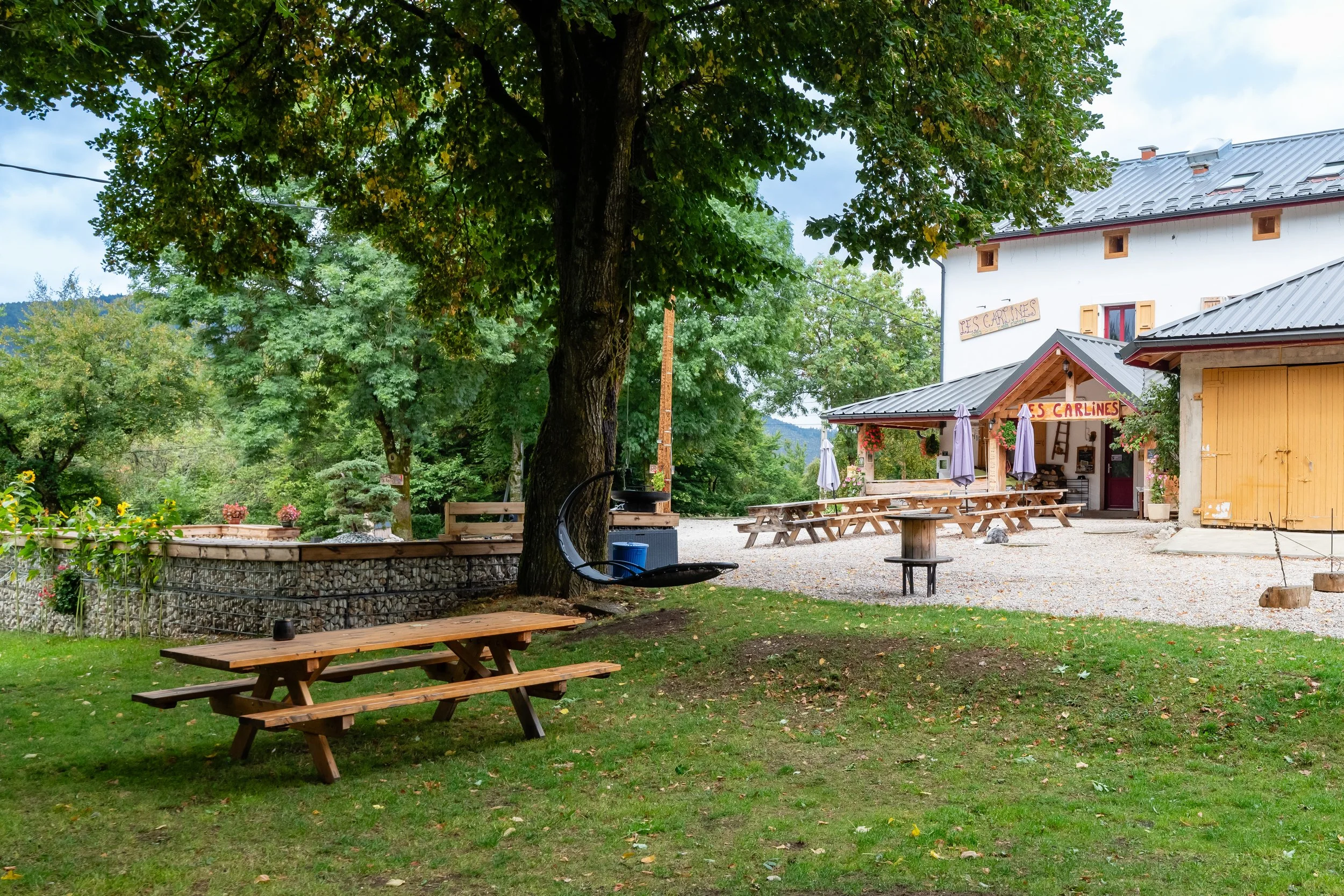 Une aire de restauration extérieure avec des tables en bois, un arbre central, un bâtiment blanc avec un toit en métal, et une zone ombragée avec parasols. La scène est verdoyante avec des arbres en arrière-plan.