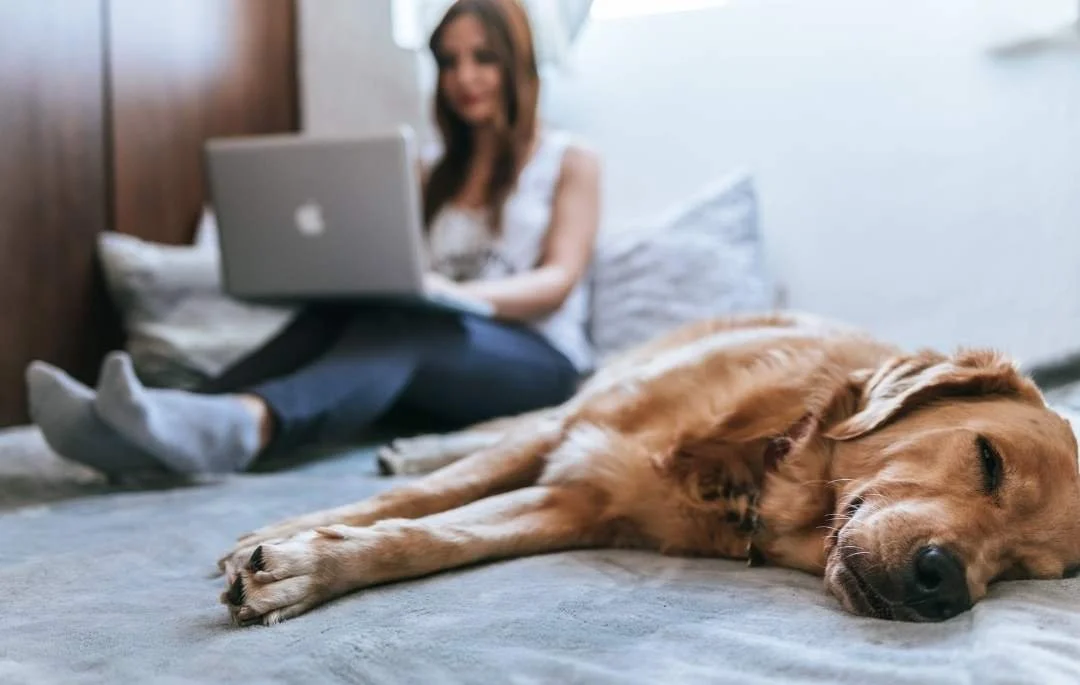 The Zoom Boom. What 2020 Taught Me About Psychic Medium Online Readings, Classes &amp; Events