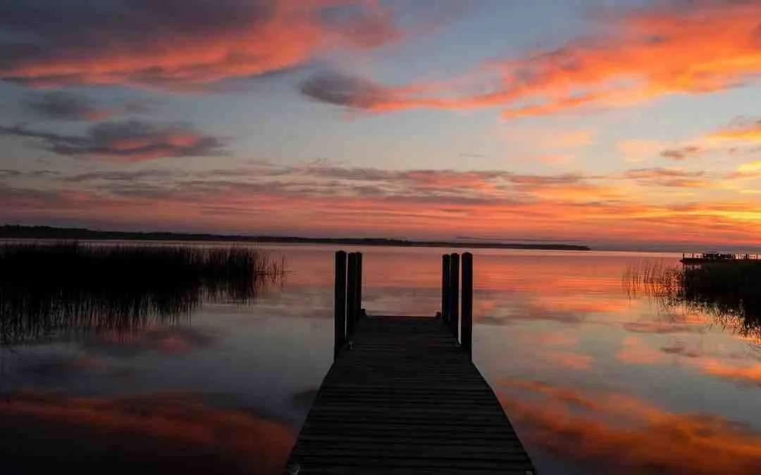 How Long Must I Wait? Knowing When It’s Time to Schedule Your Reading