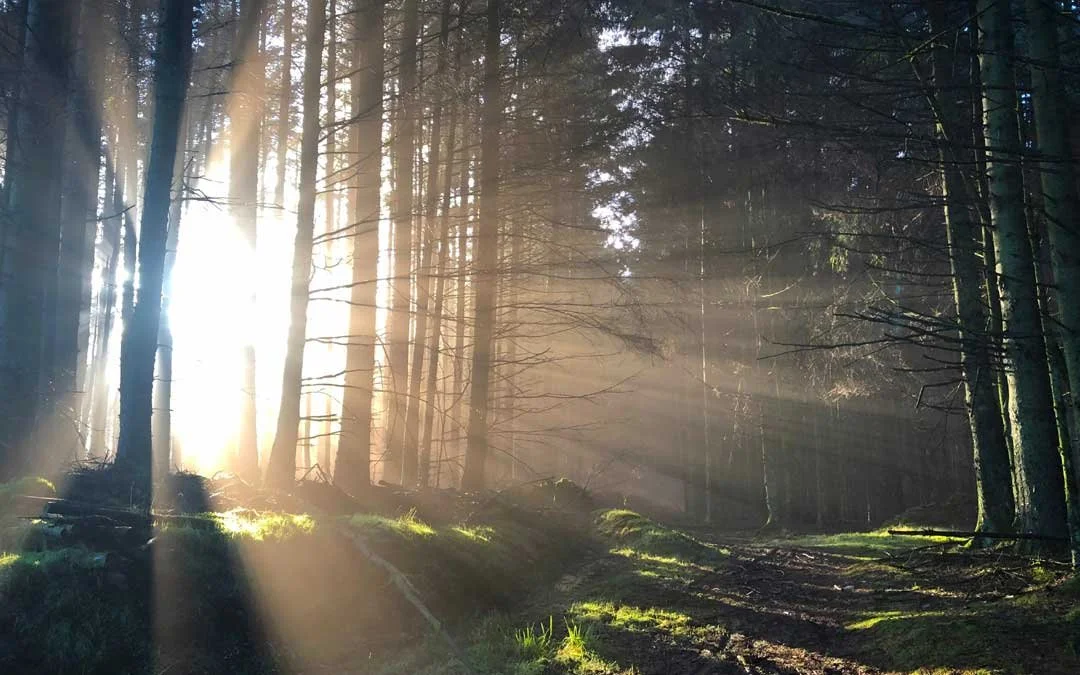 3 Myths of Mediumship. Unveiling the Mystery