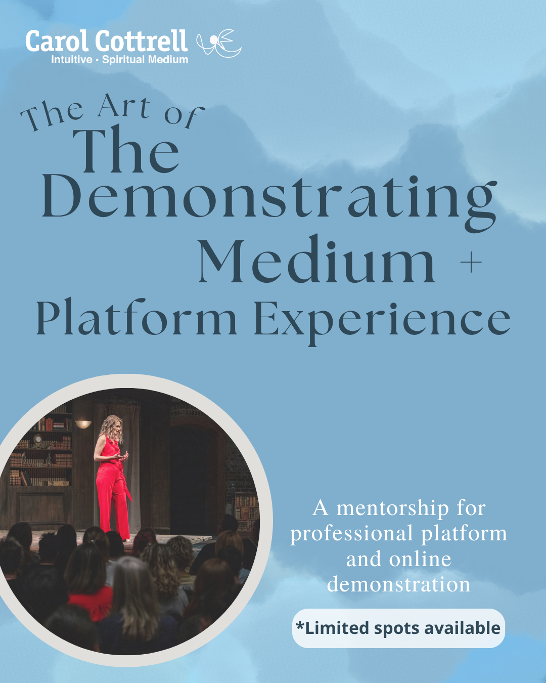 The Art of Demonstrating + Platform Experience