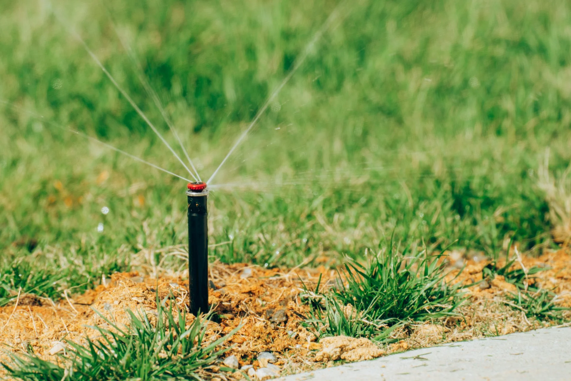 A small black sprinkler with a red top spraying water on grass and dirt