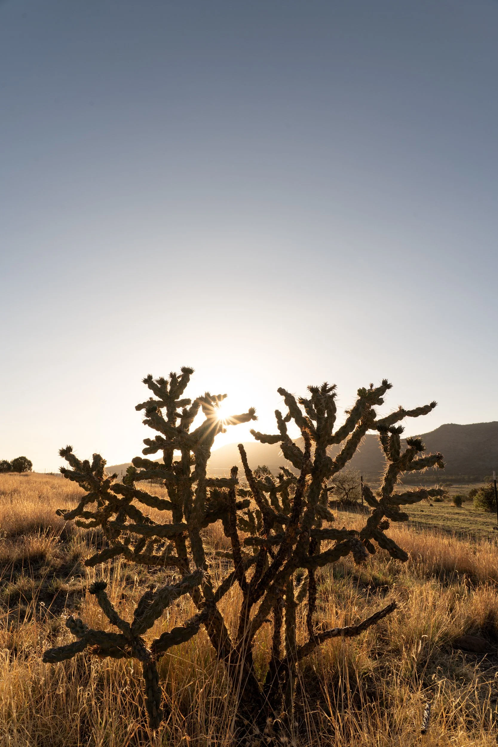 Romero, Shaylin-5329.jpg