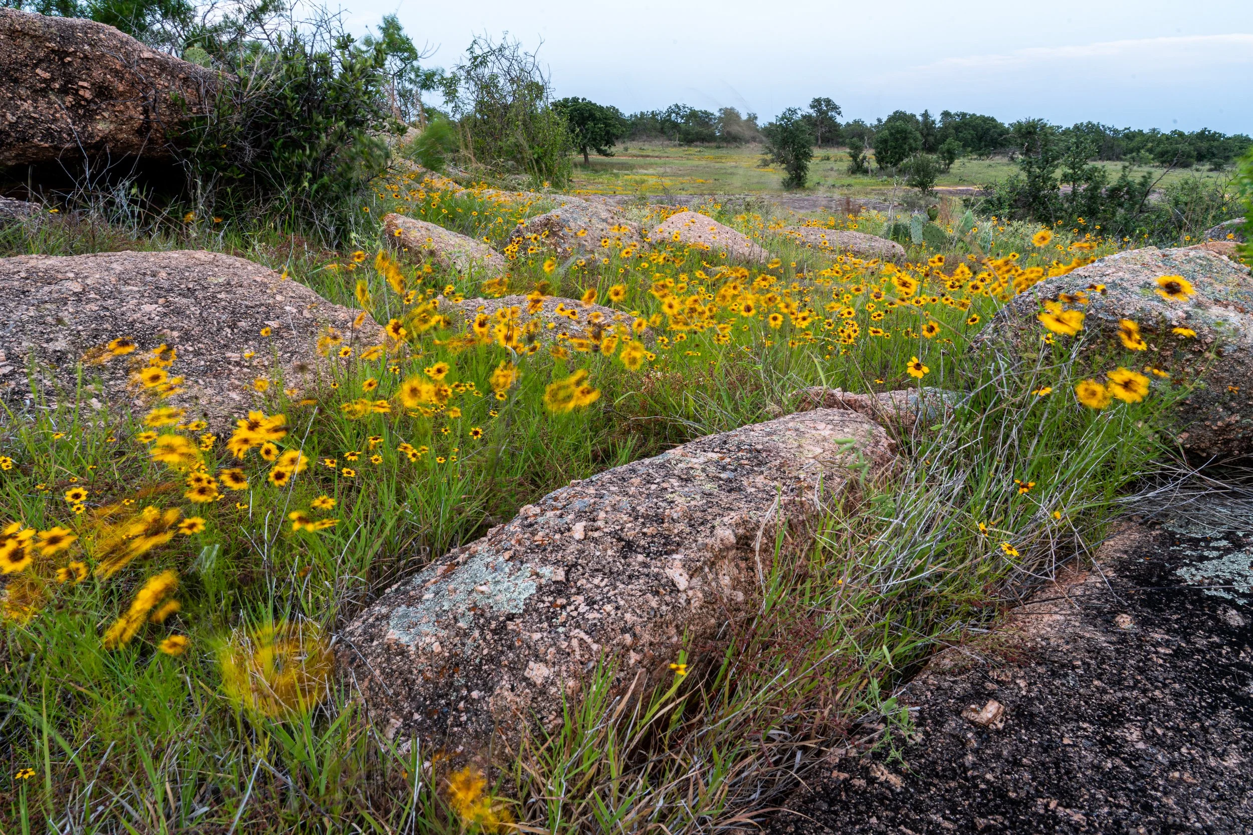 Romero, Shaylin-8443.jpg