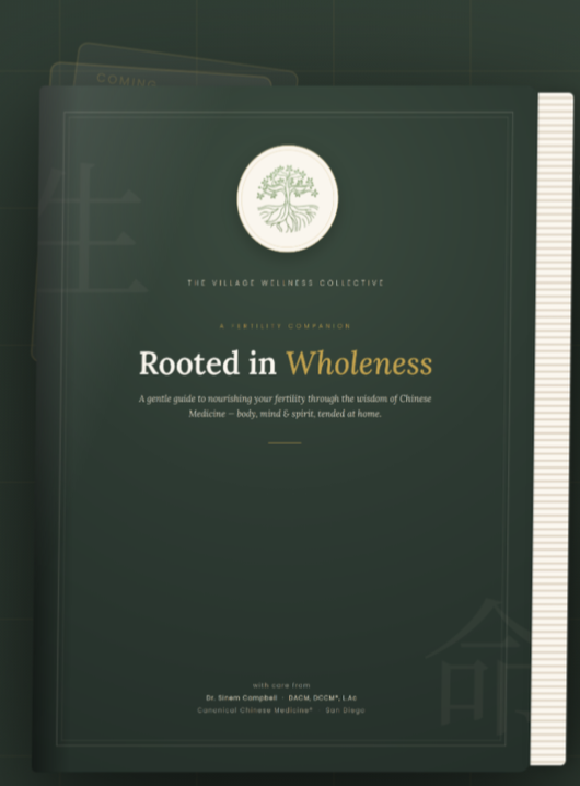 Village%2BWellness%2BGuides%2Bhero%2Bbanner.png
