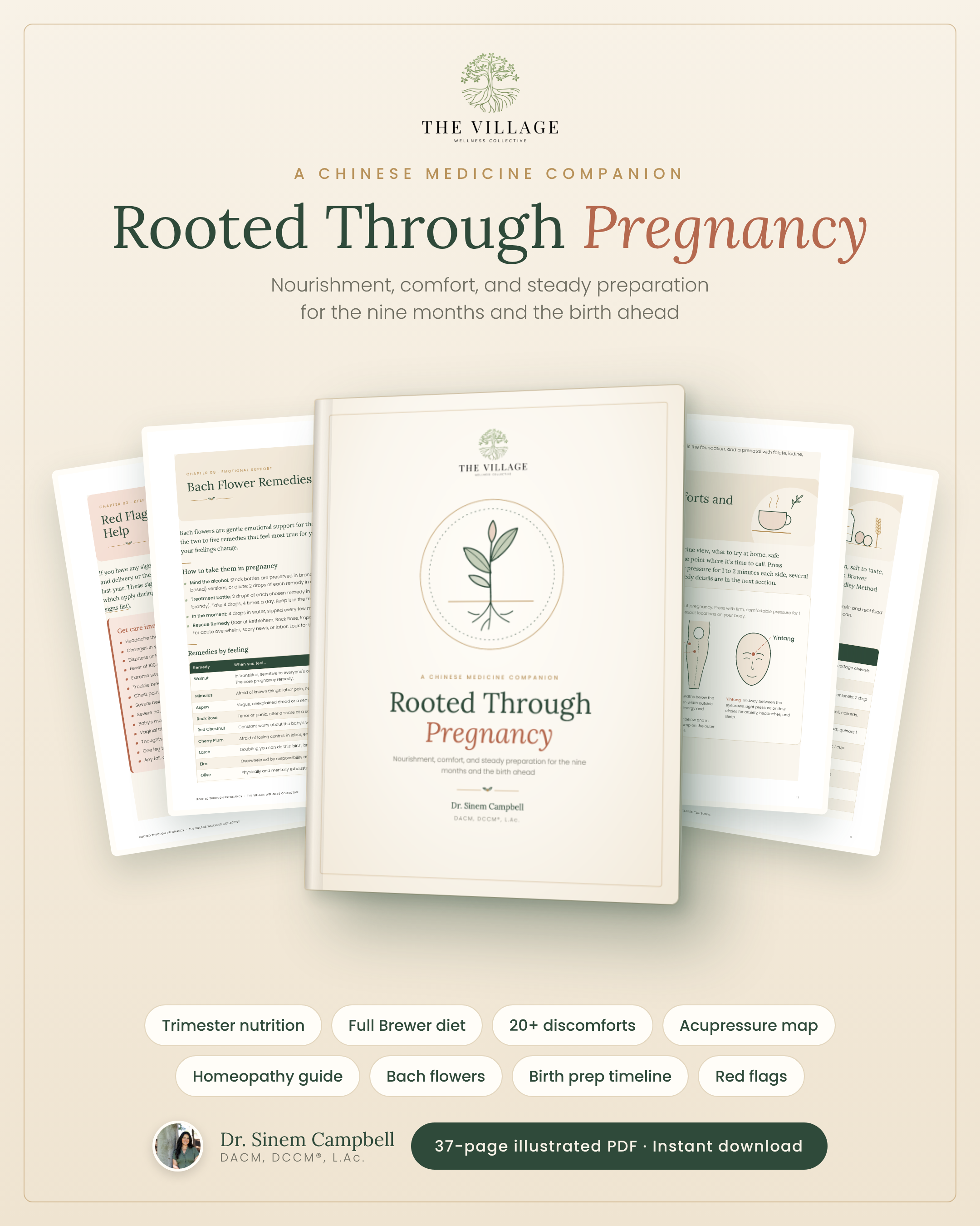 Rooted_Through_Pregnancy_display_1080x1350.png
