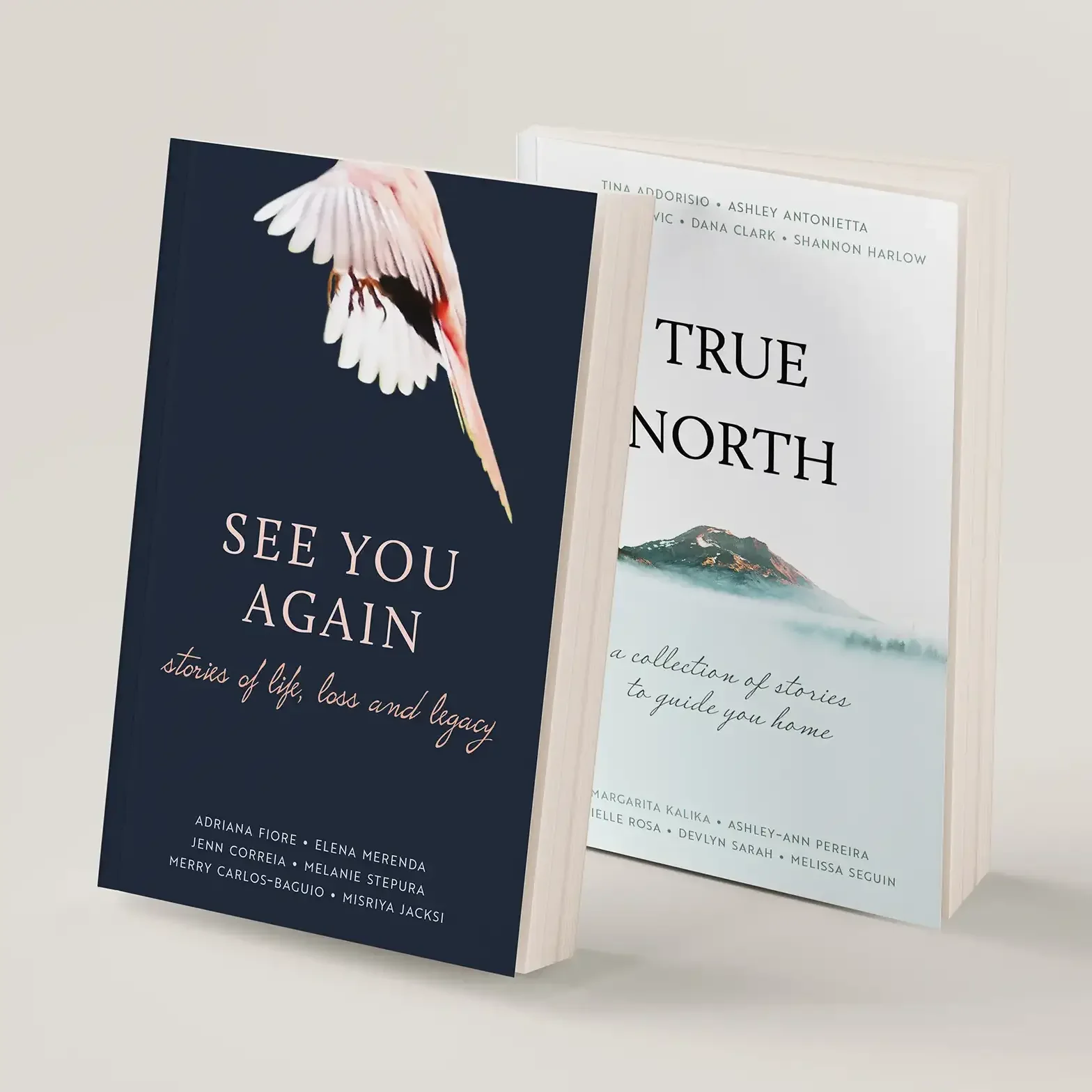 See You Again and True North by Fiore et al.