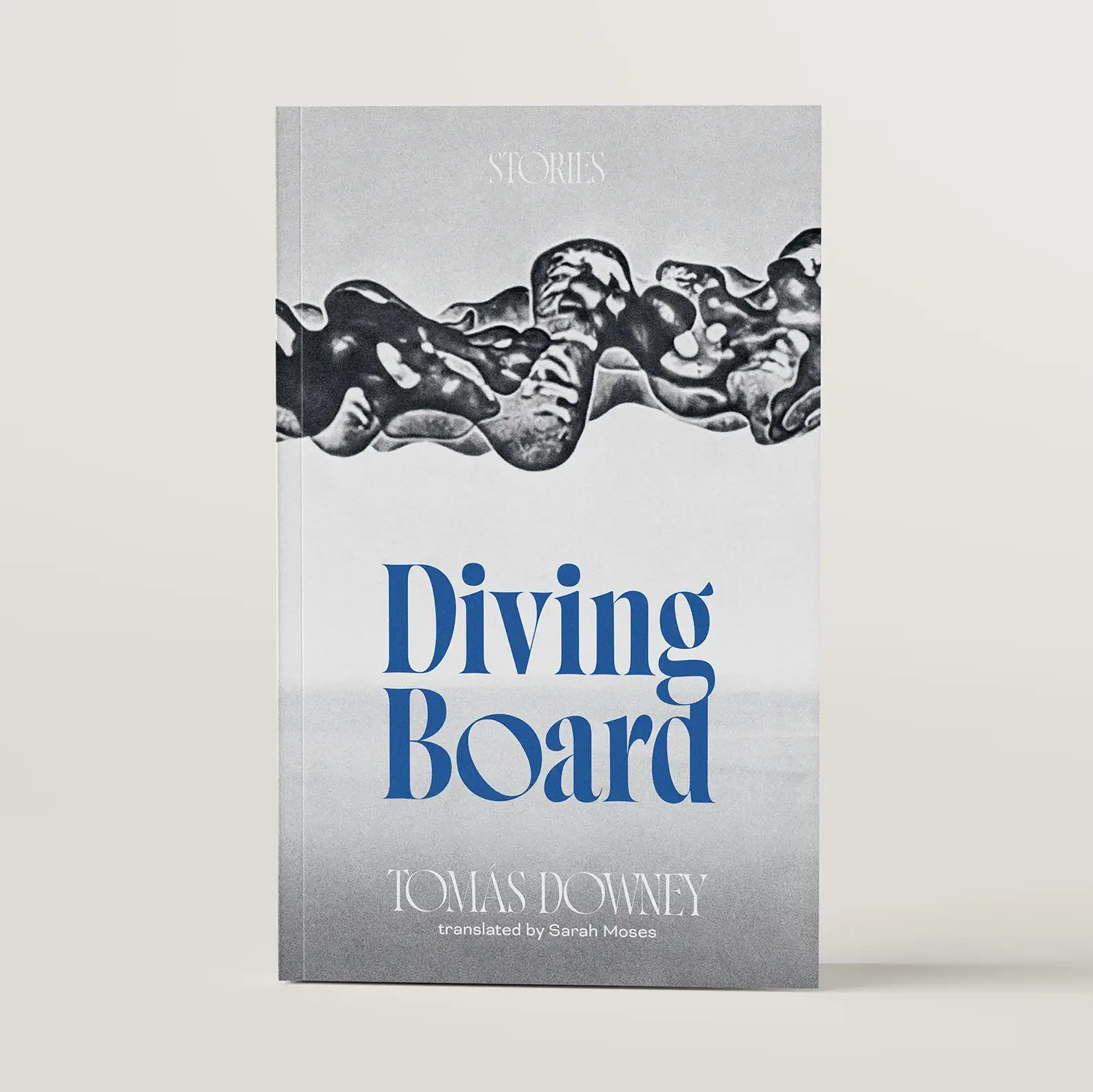 Diving Board by Tomas Downey
