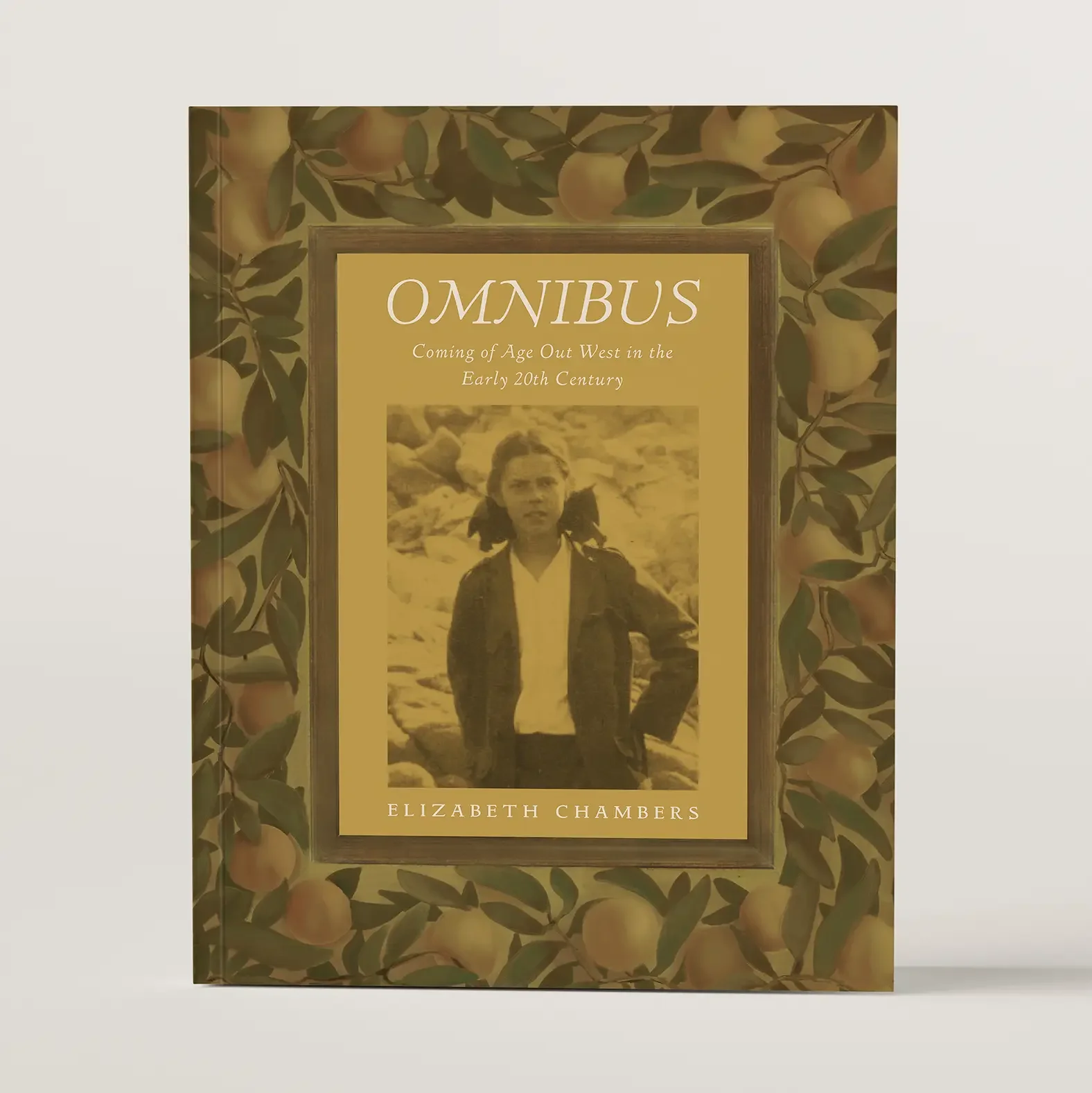 Omnibus by Elizabeth Chambers