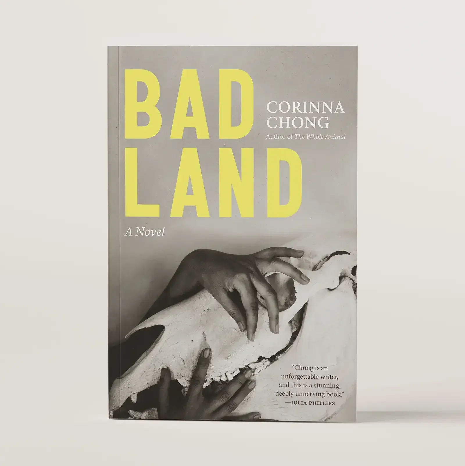 Bad Land by Corinna Chong