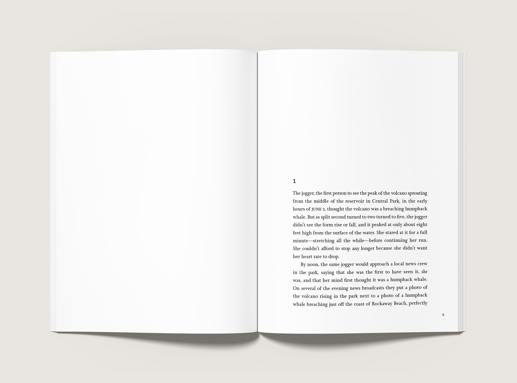 fleck-MyVolcano-InteriorLayout-2.webp