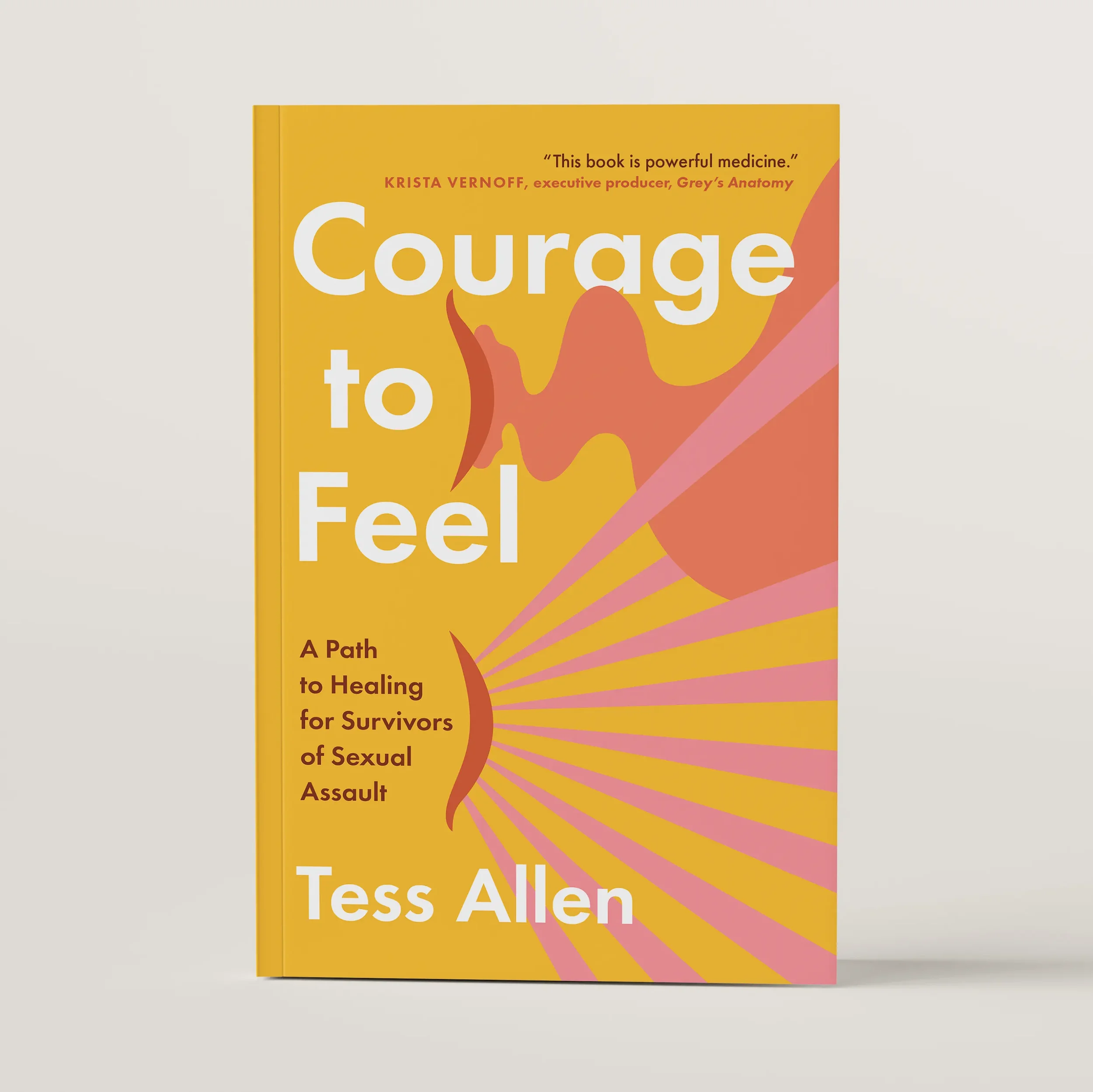 This book cover features a flat color blocked drawing of 2 closed eyes, Out of one flows a river while sunbeams radiate out from the other.