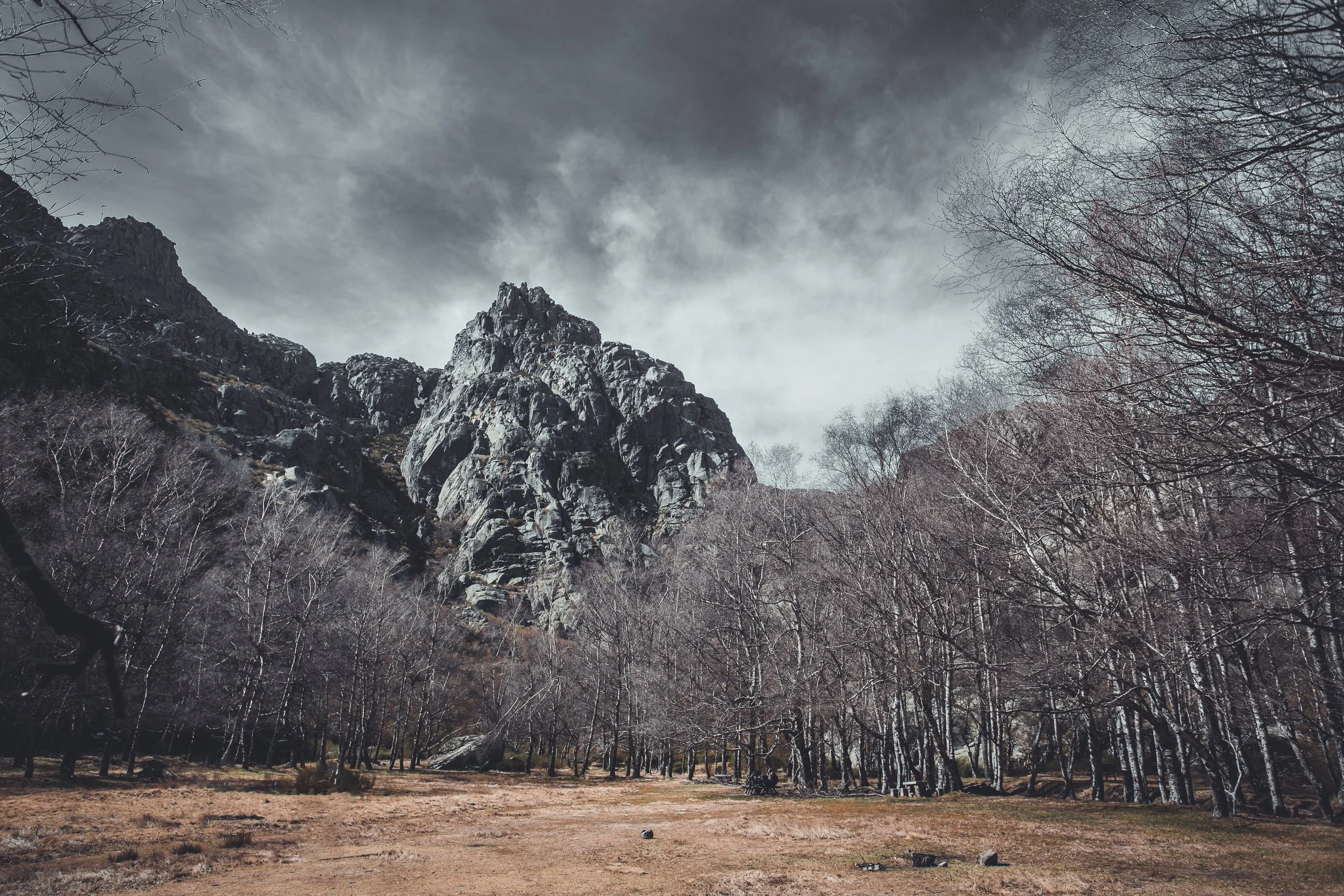 Céu nublado, árvores sem folhas, rochas e montanhas ao fundo, chão de terra