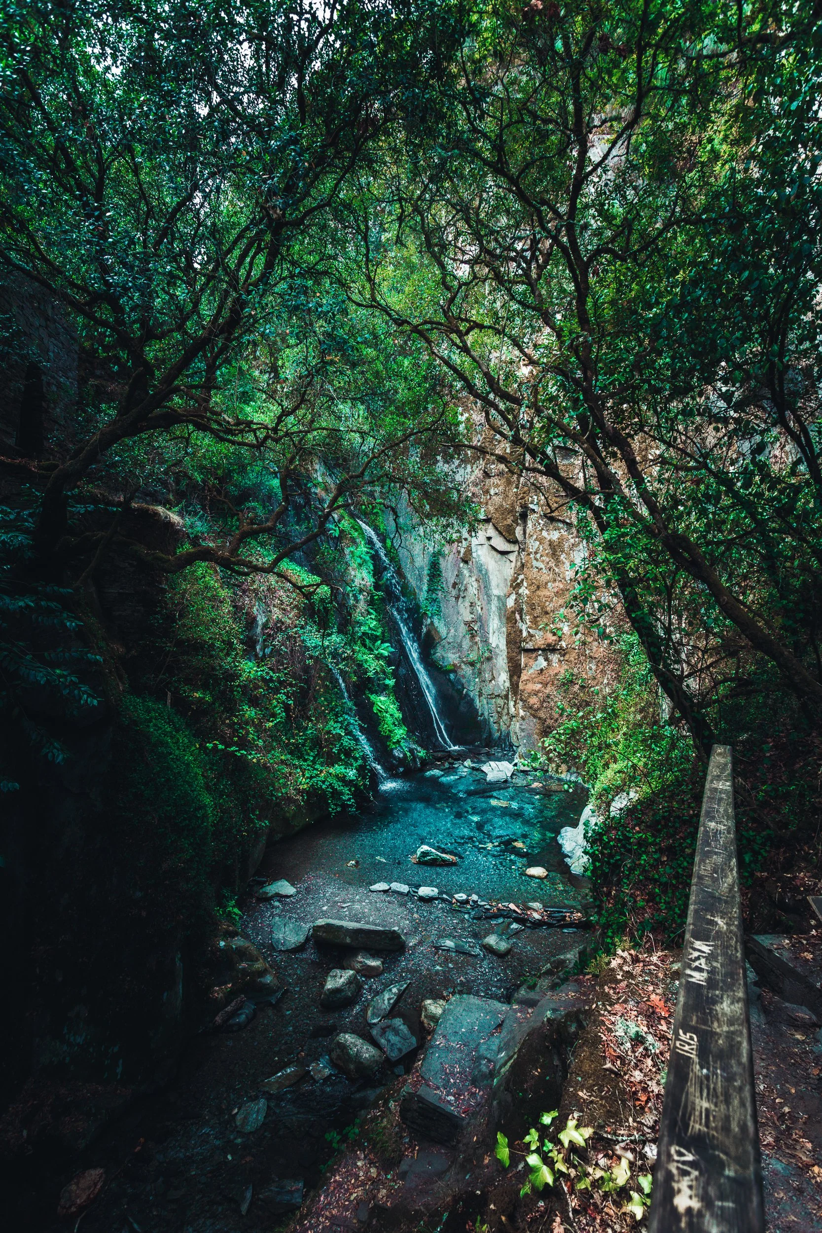 Cachoeira no meio de uma floresta densa, com árvores verdes ao redor e água caindo em um rio estreito com pedras.