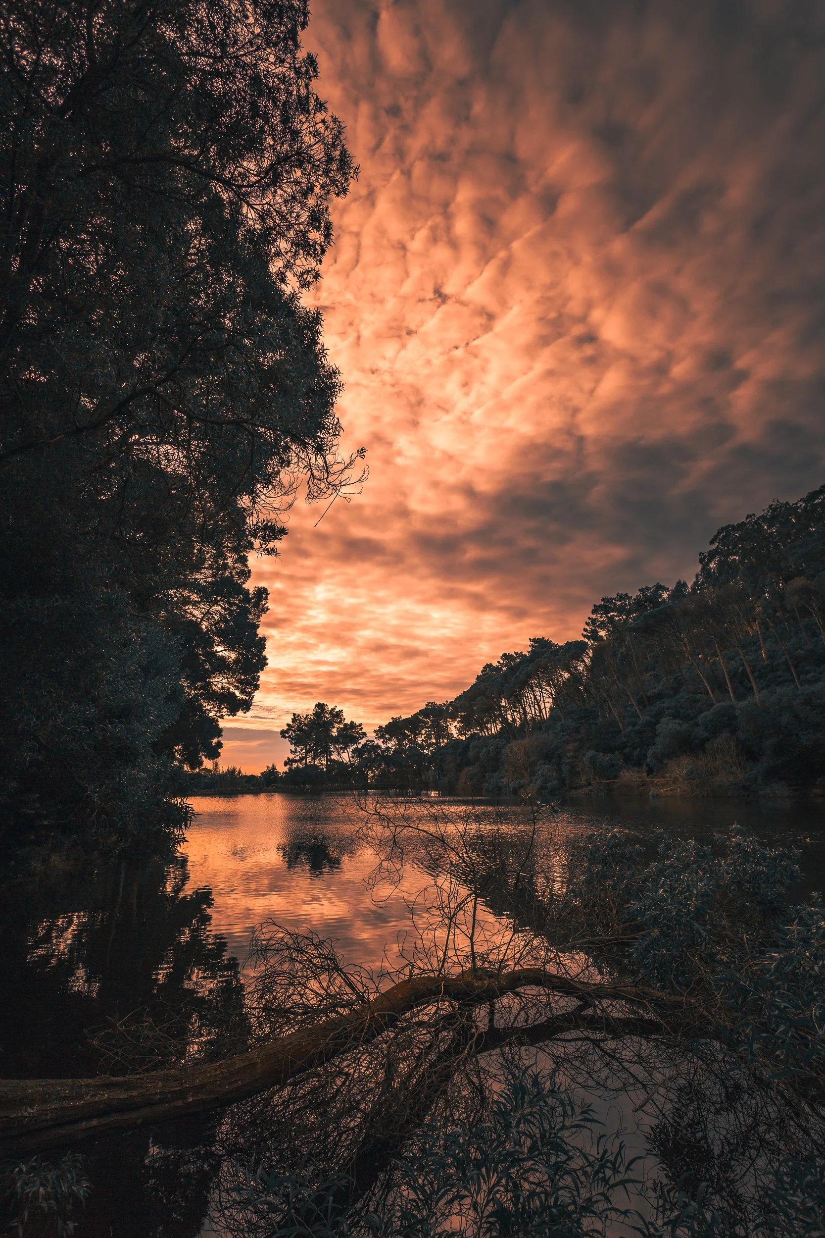 Céu nublado ao pôr do sol com reflexos na água de um rio cercado por árvores e vegetação.